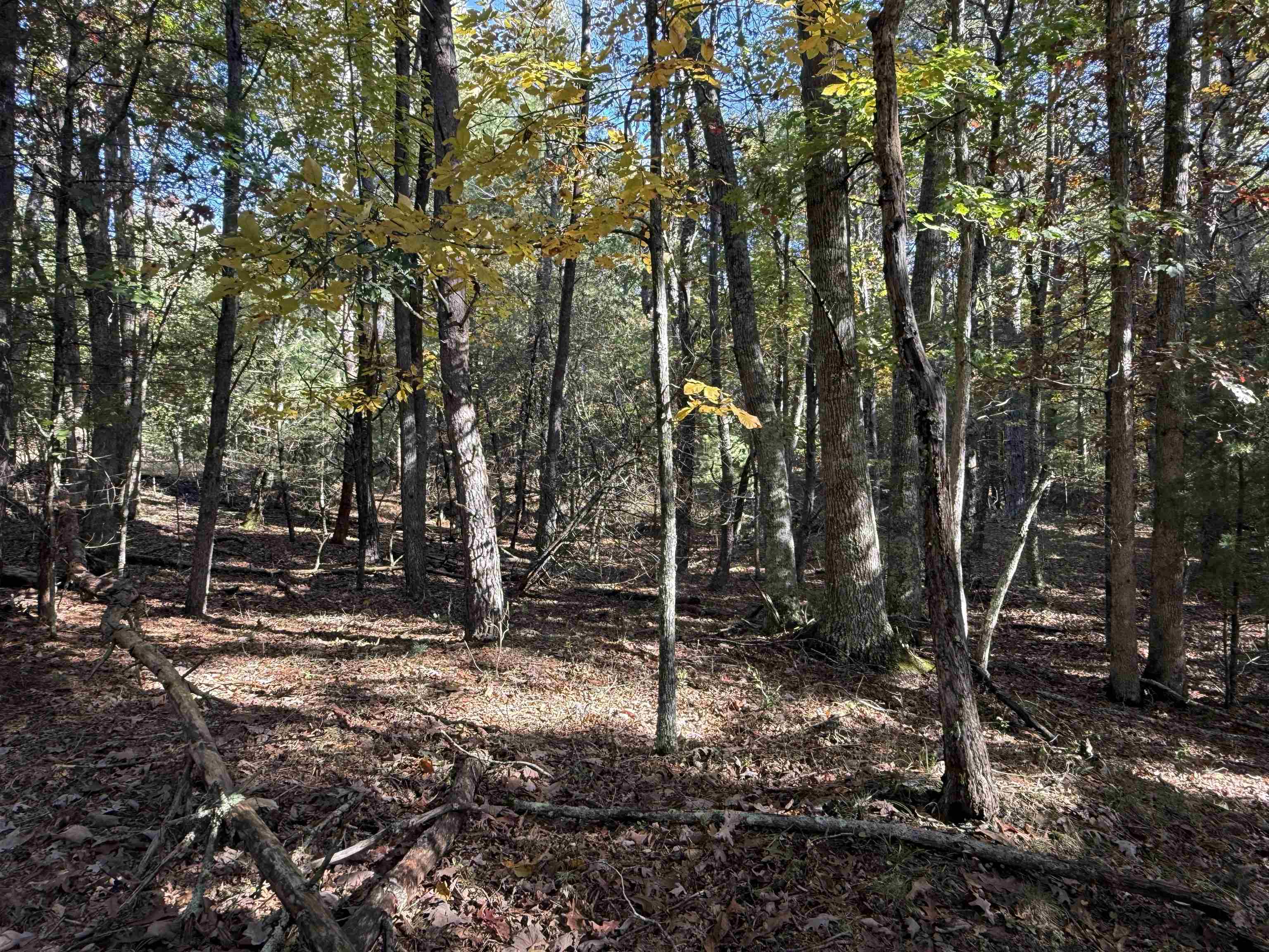 Tbd Gunton Park Road Pulaski VA 24301