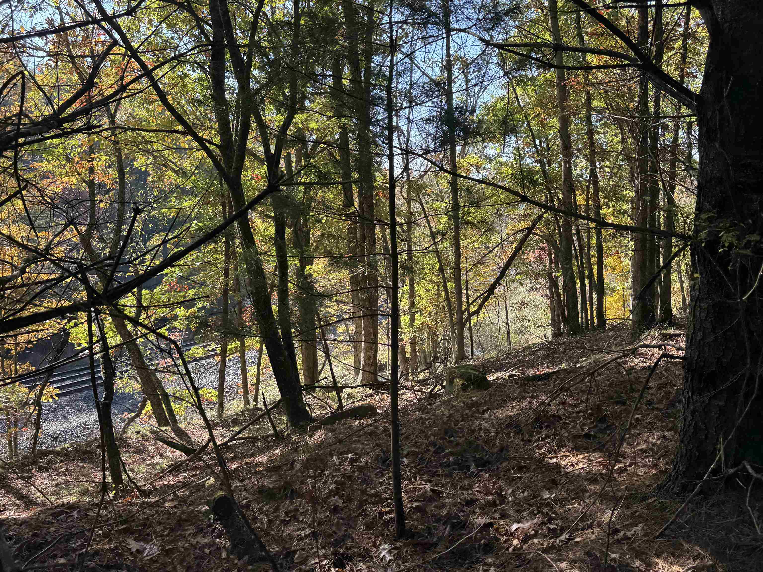 Tbd Gunton Park Road Pulaski VA 24301