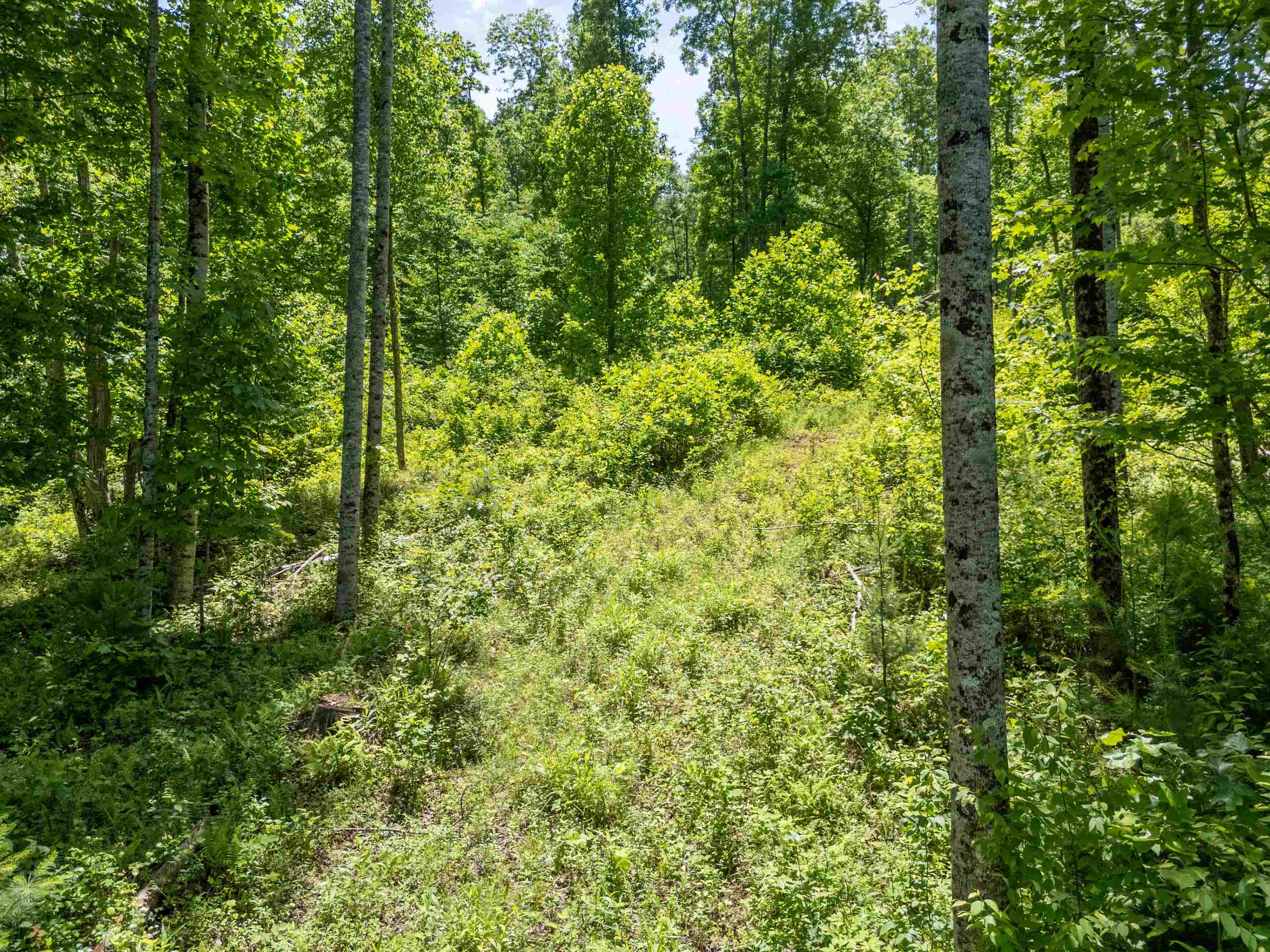 2307 Rush Fork Road SW Floyd VA 24091