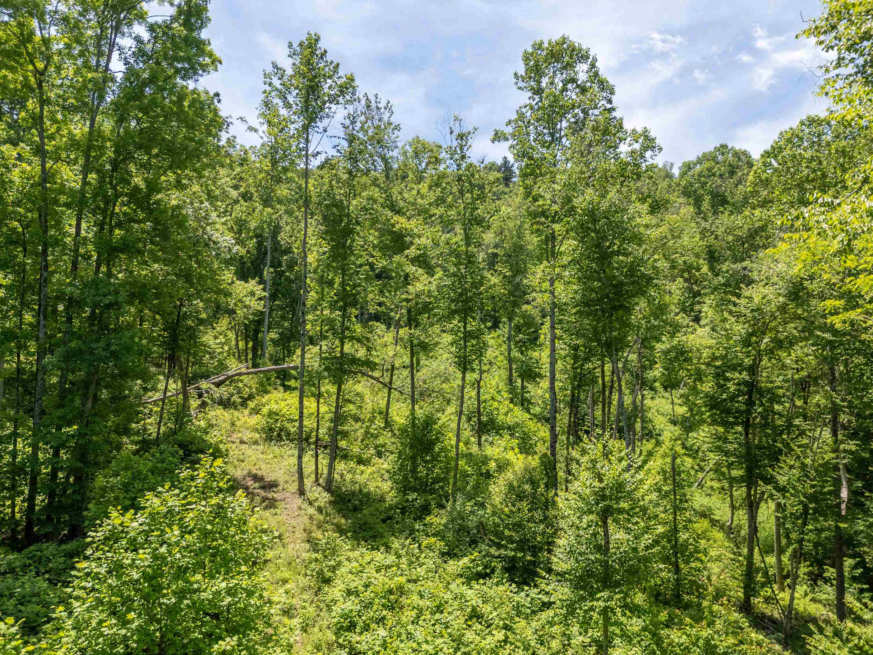2307 Rush Fork Road SW Floyd VA 24091