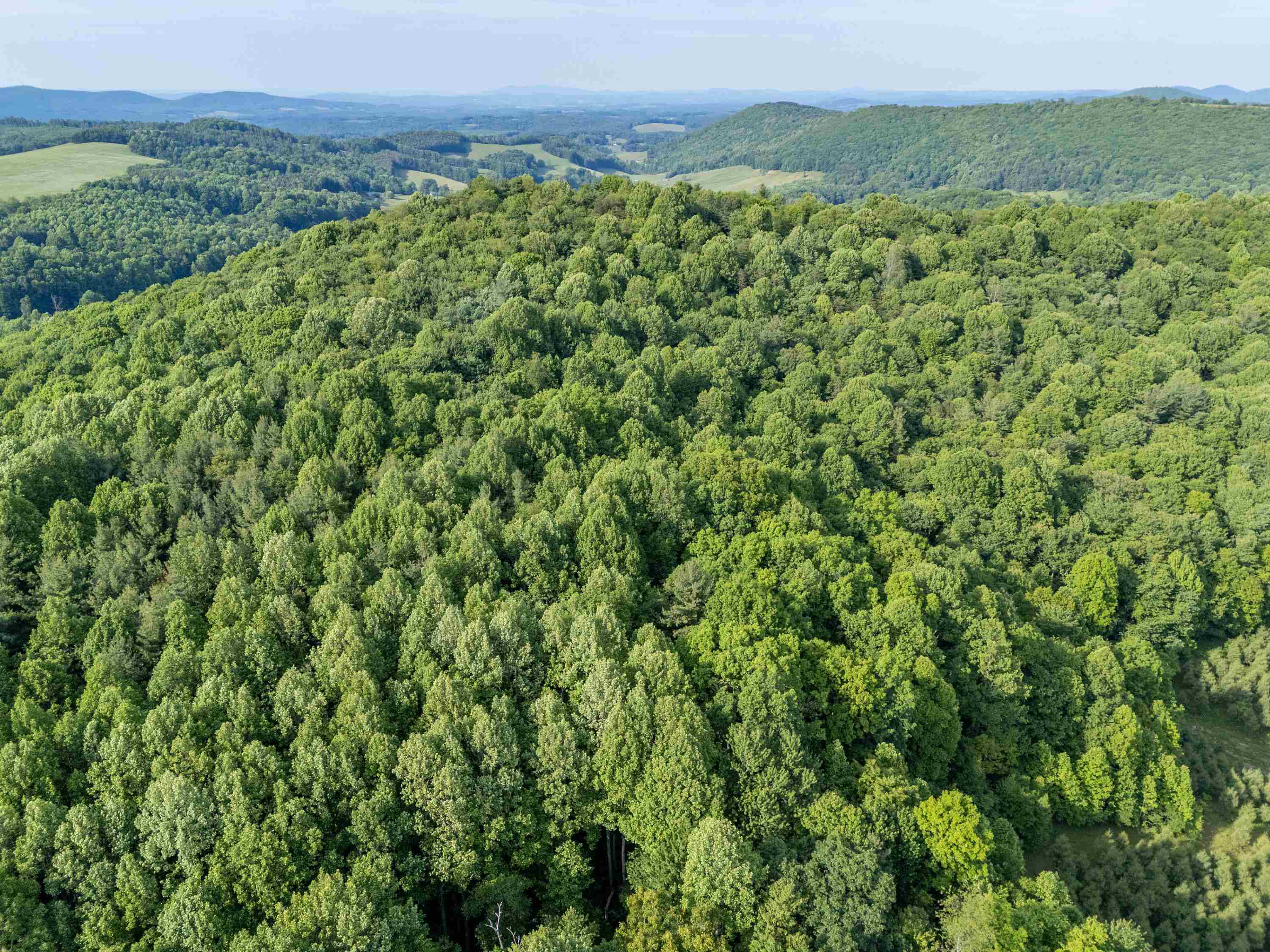 2307 Rush Fork Road SW Floyd VA 24091