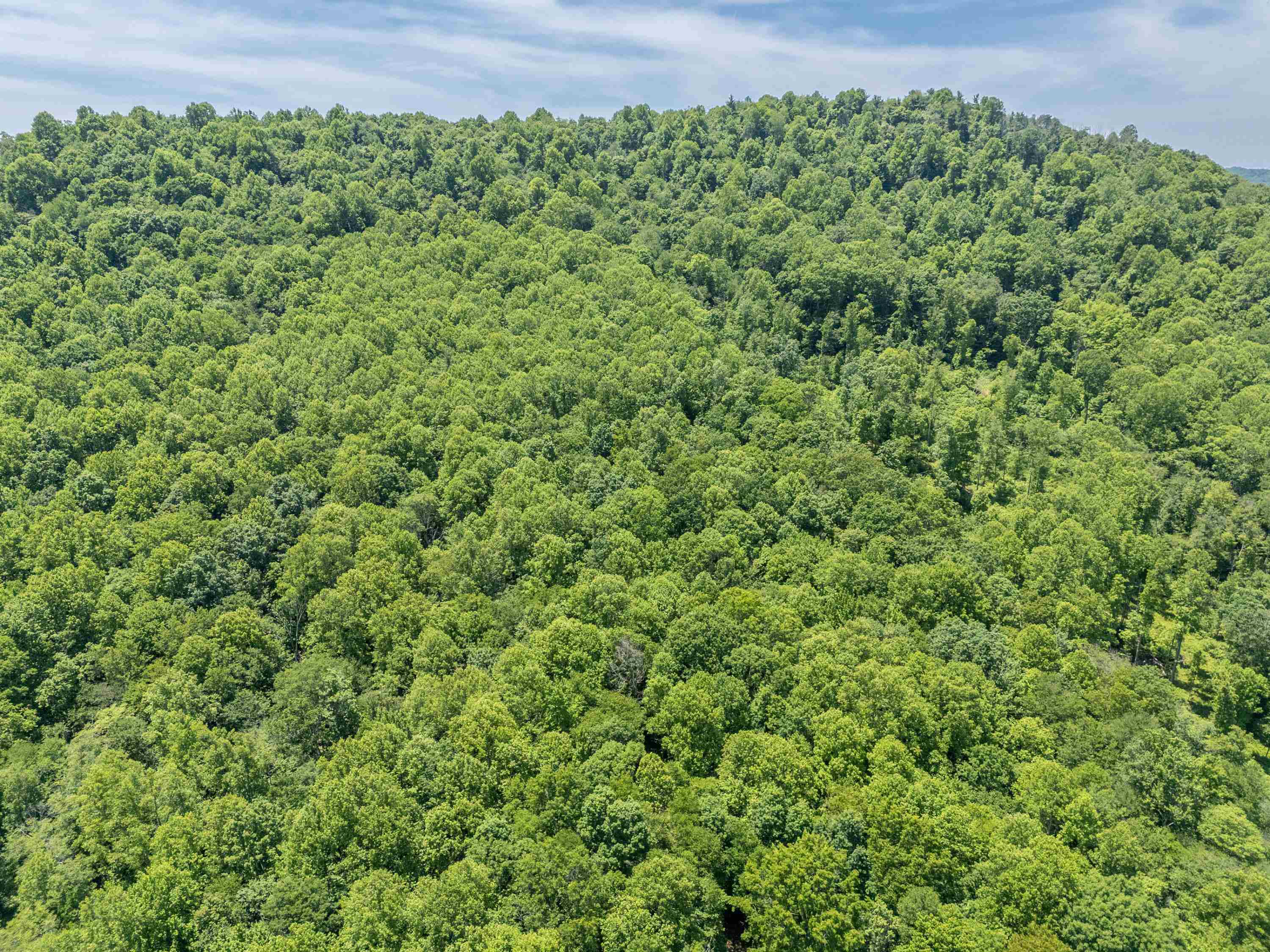 2307 Rush Fork Road SW Floyd VA 24091