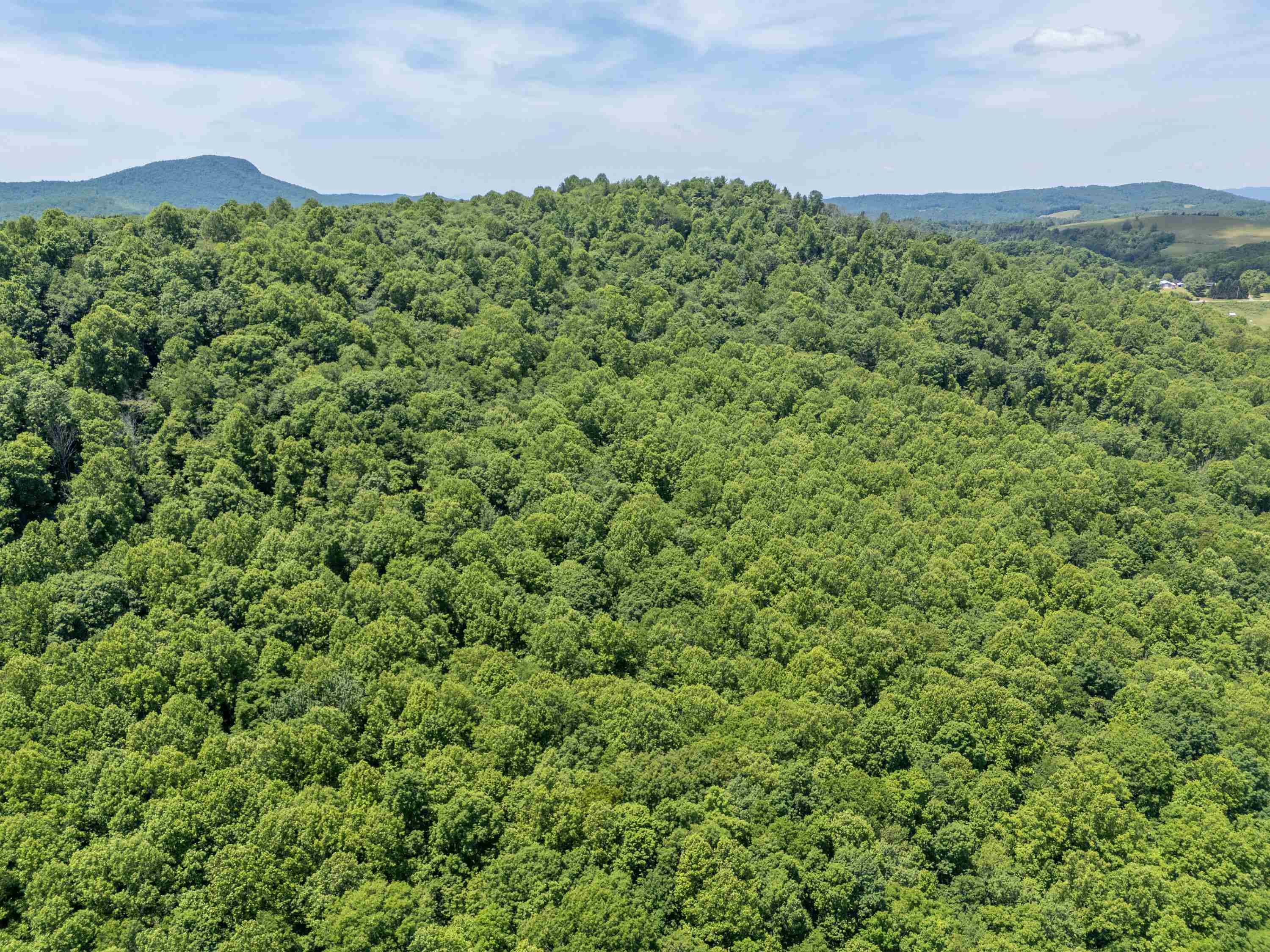 2307 Rush Fork Road SW Floyd VA 24091