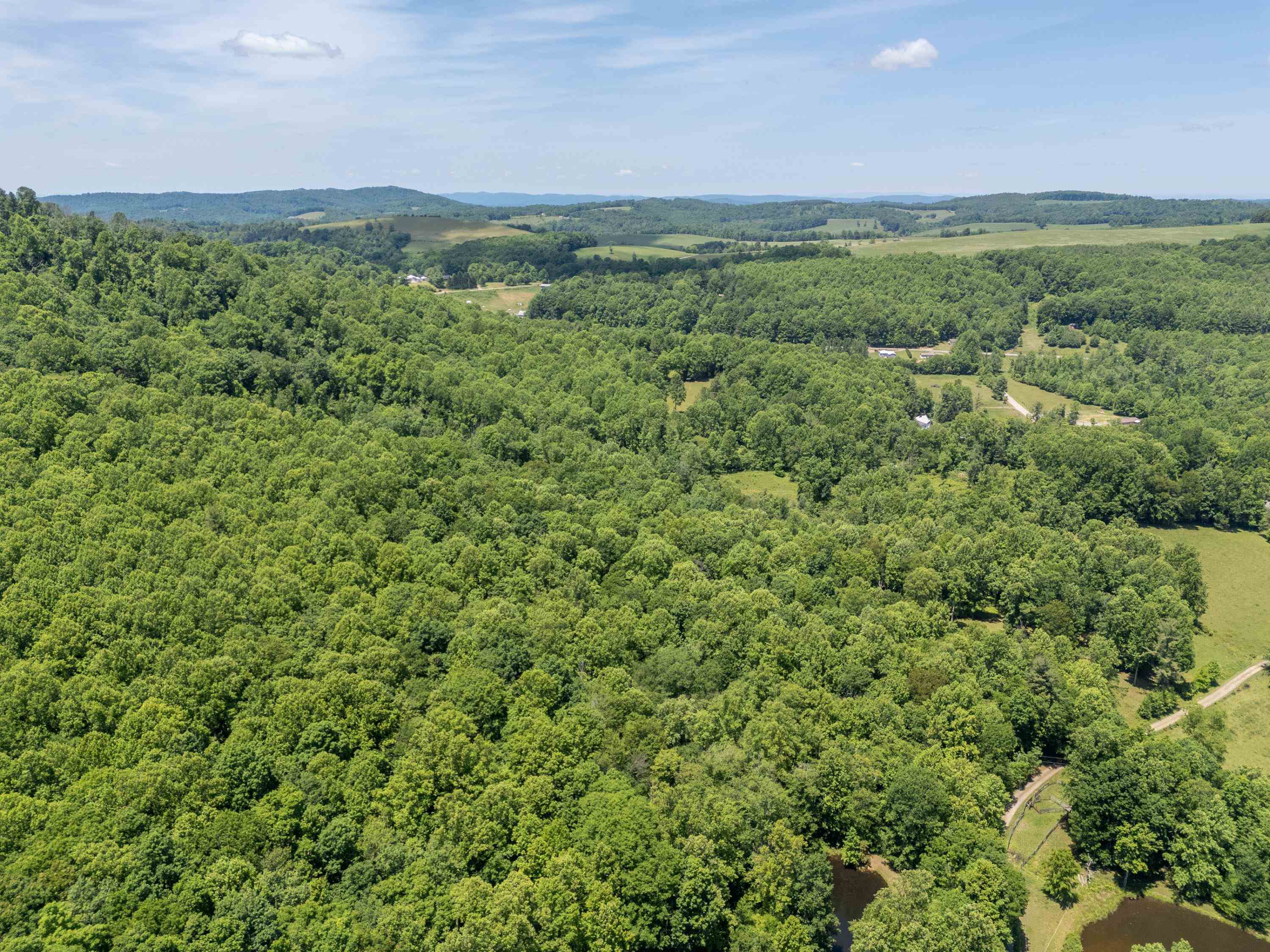 2307 Rush Fork Road SW Floyd VA 24091