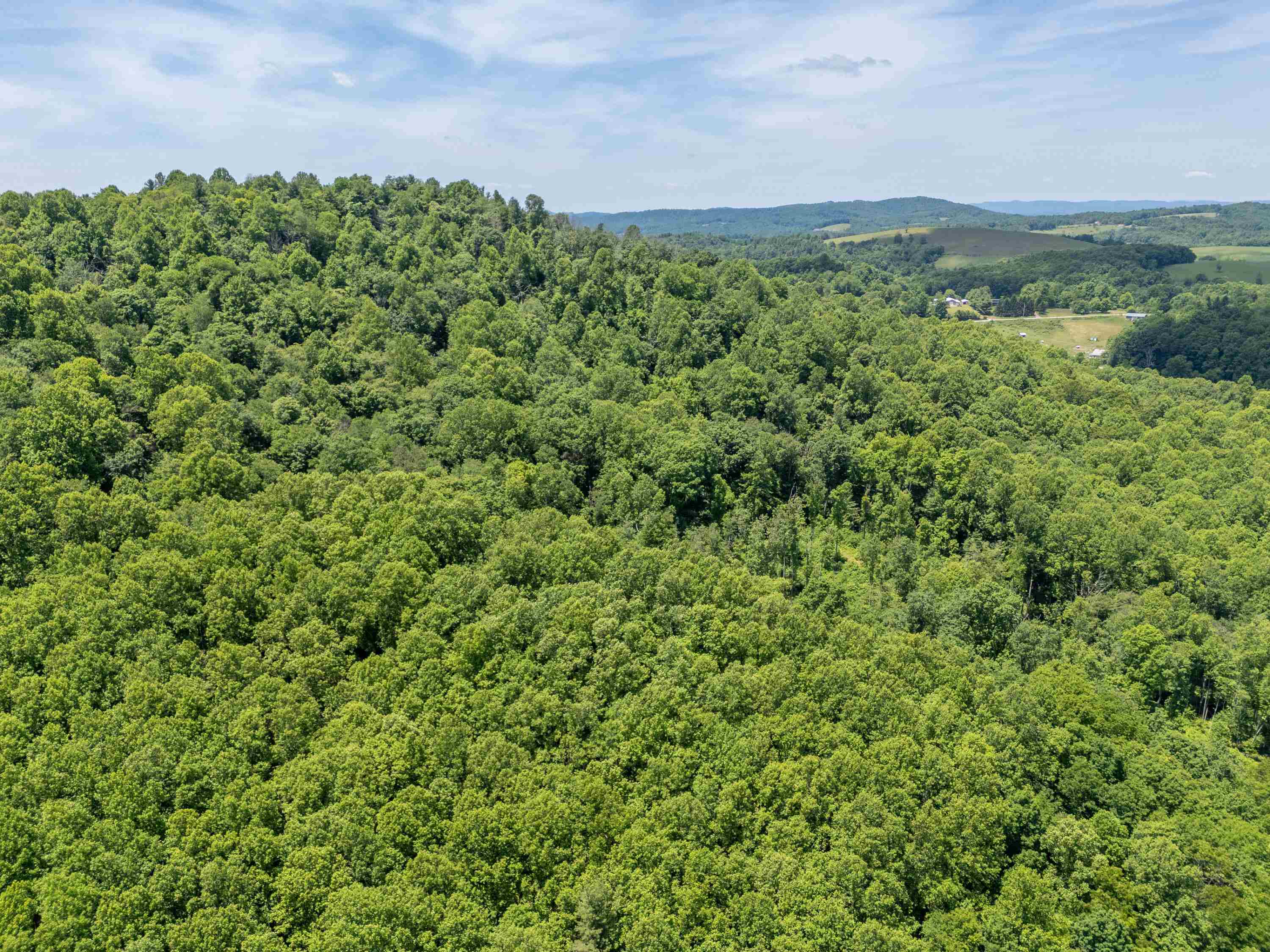 2307 Rush Fork Road SW Floyd VA 24091