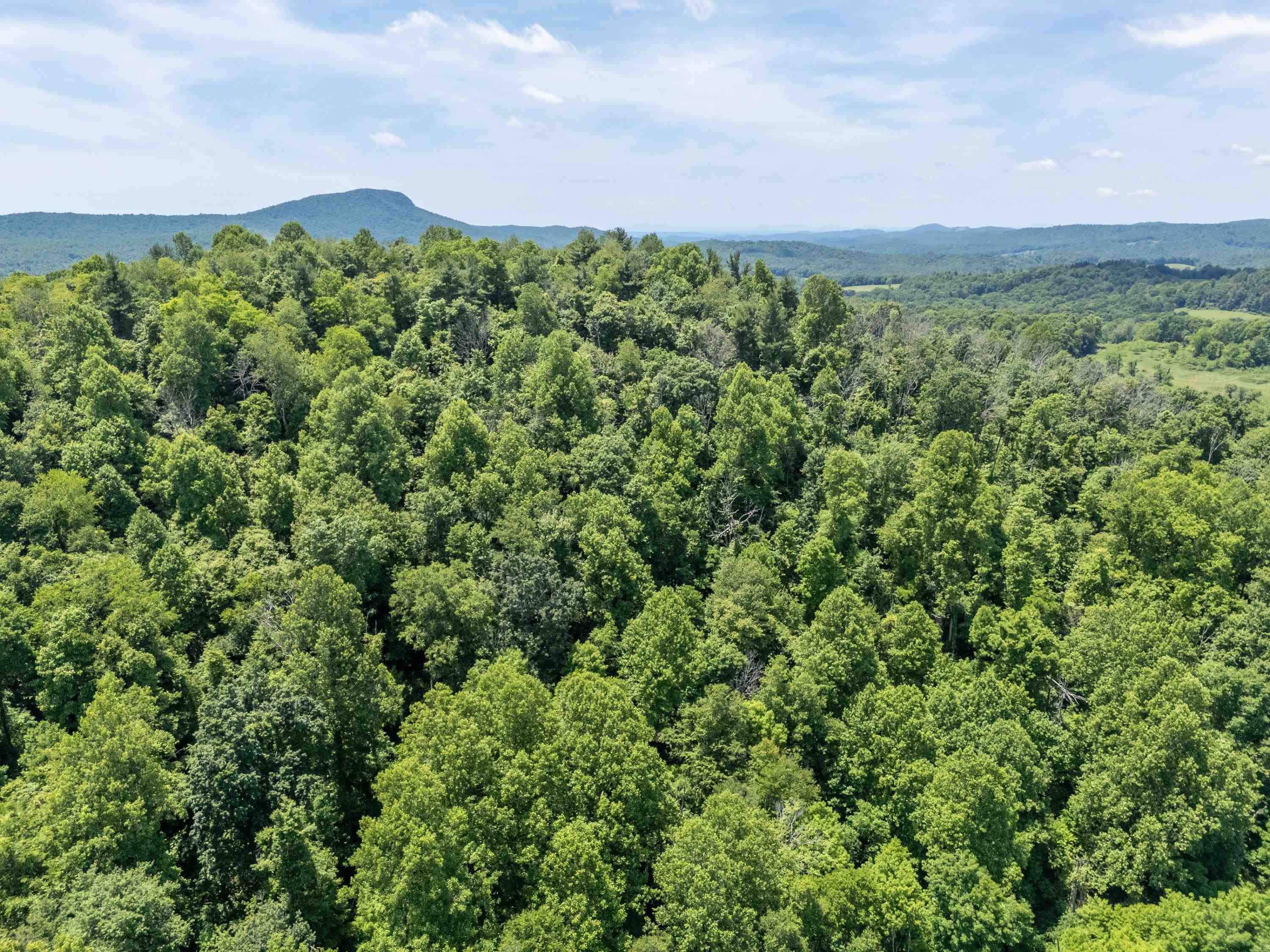 2307 Rush Fork Road SW Floyd VA 24091