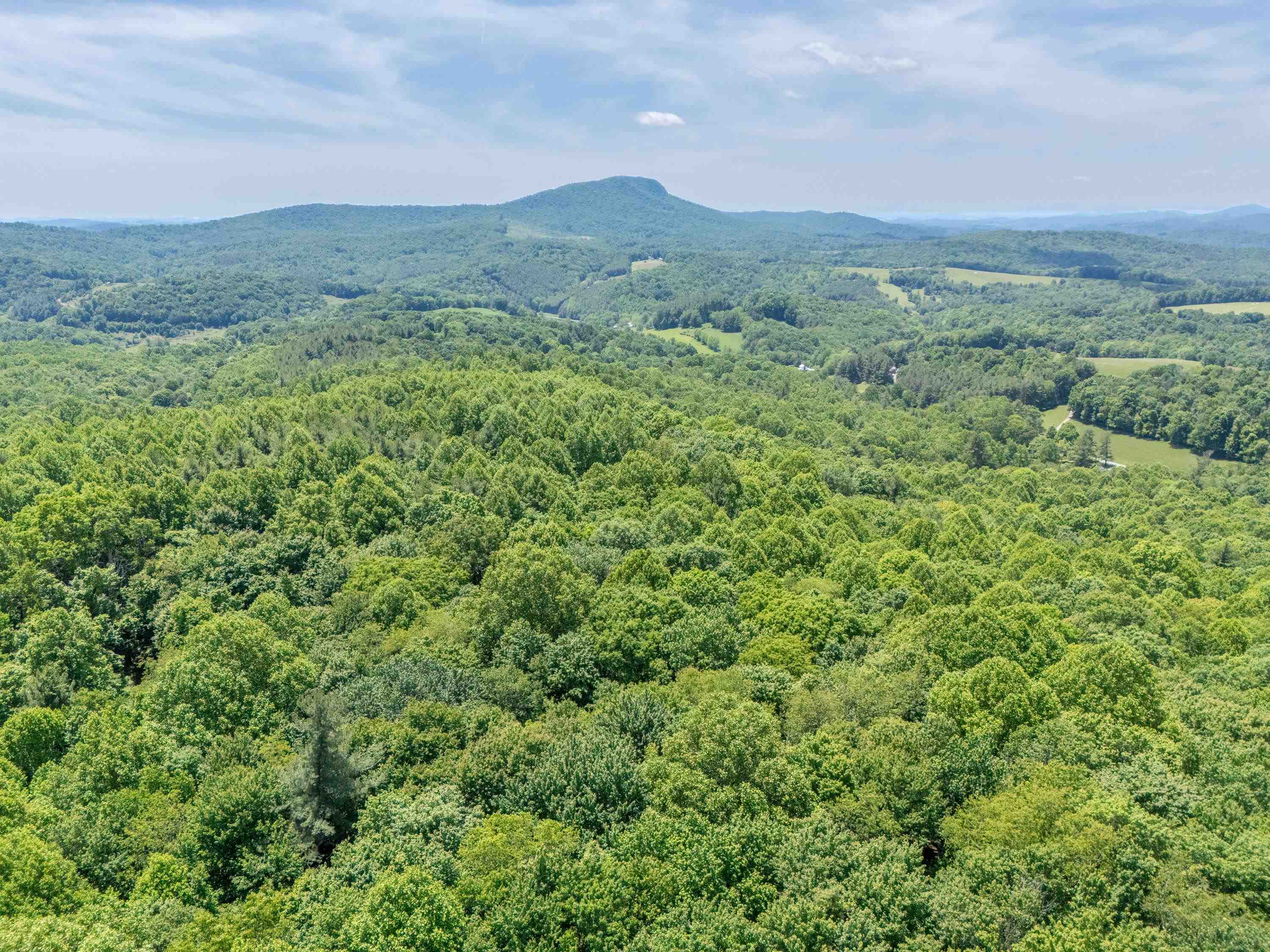 2307 Rush Fork Road SW Floyd VA 24091