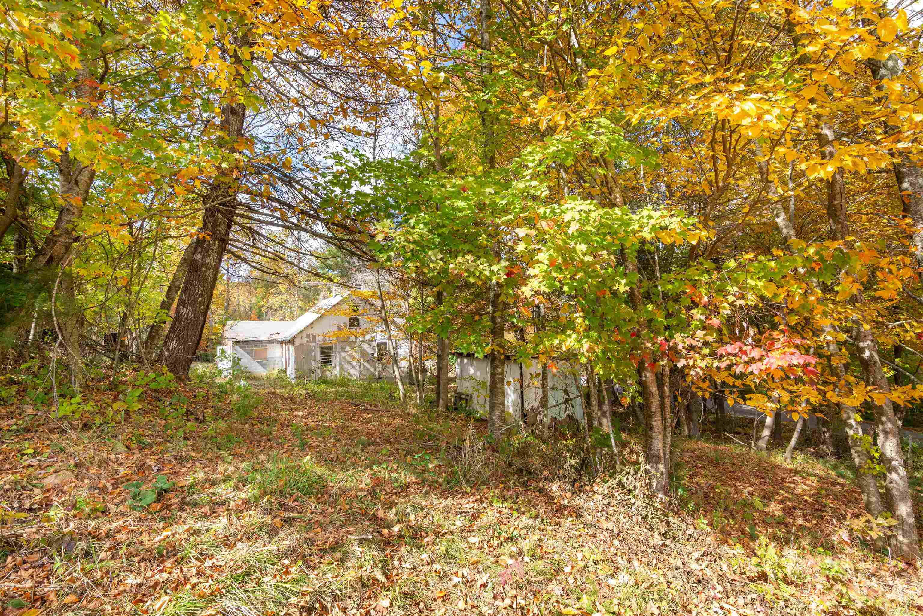 2307 Rush Fork Road SW Floyd VA 24091