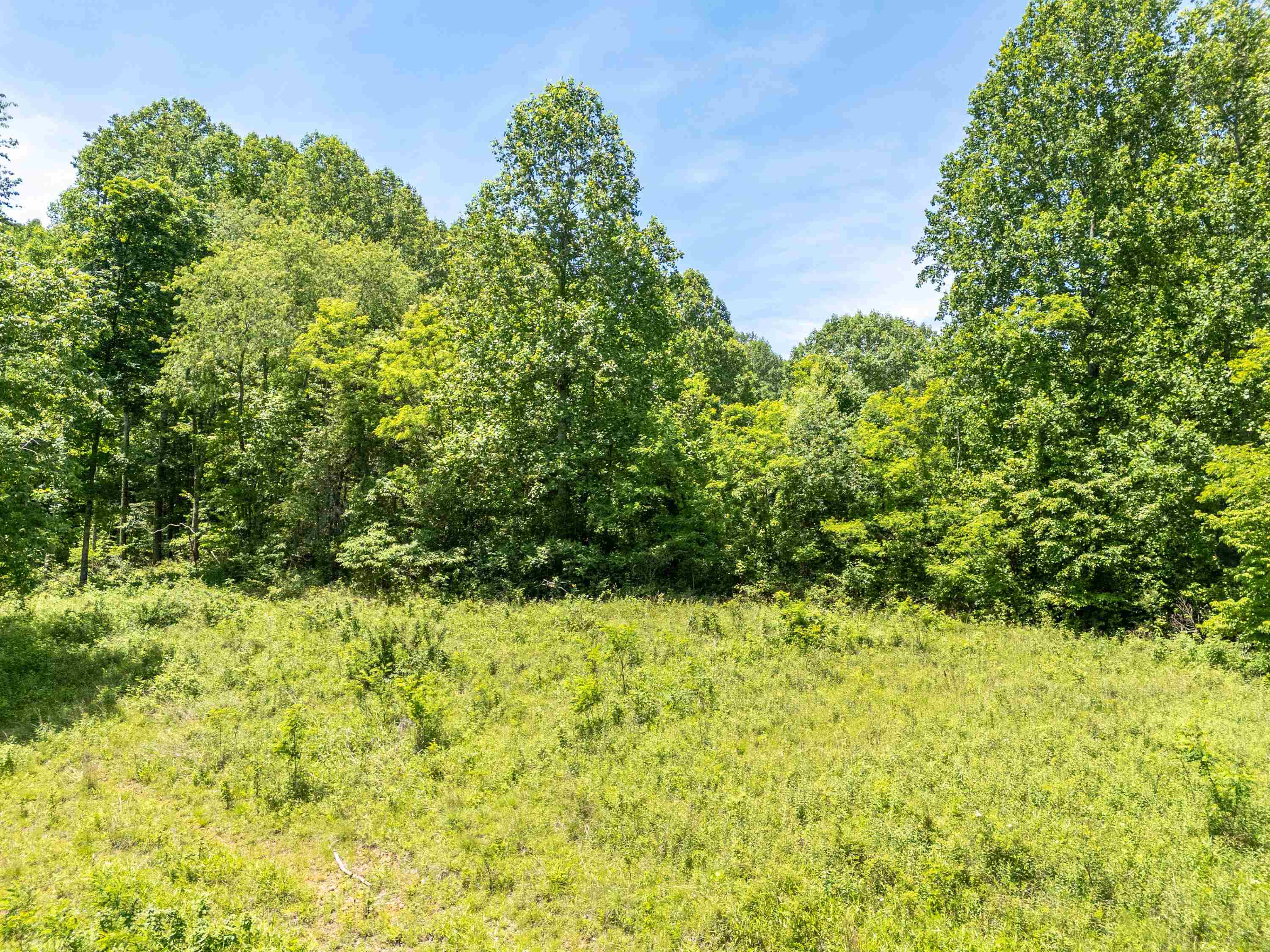 2307 Rush Fork Road SW Floyd VA 24091