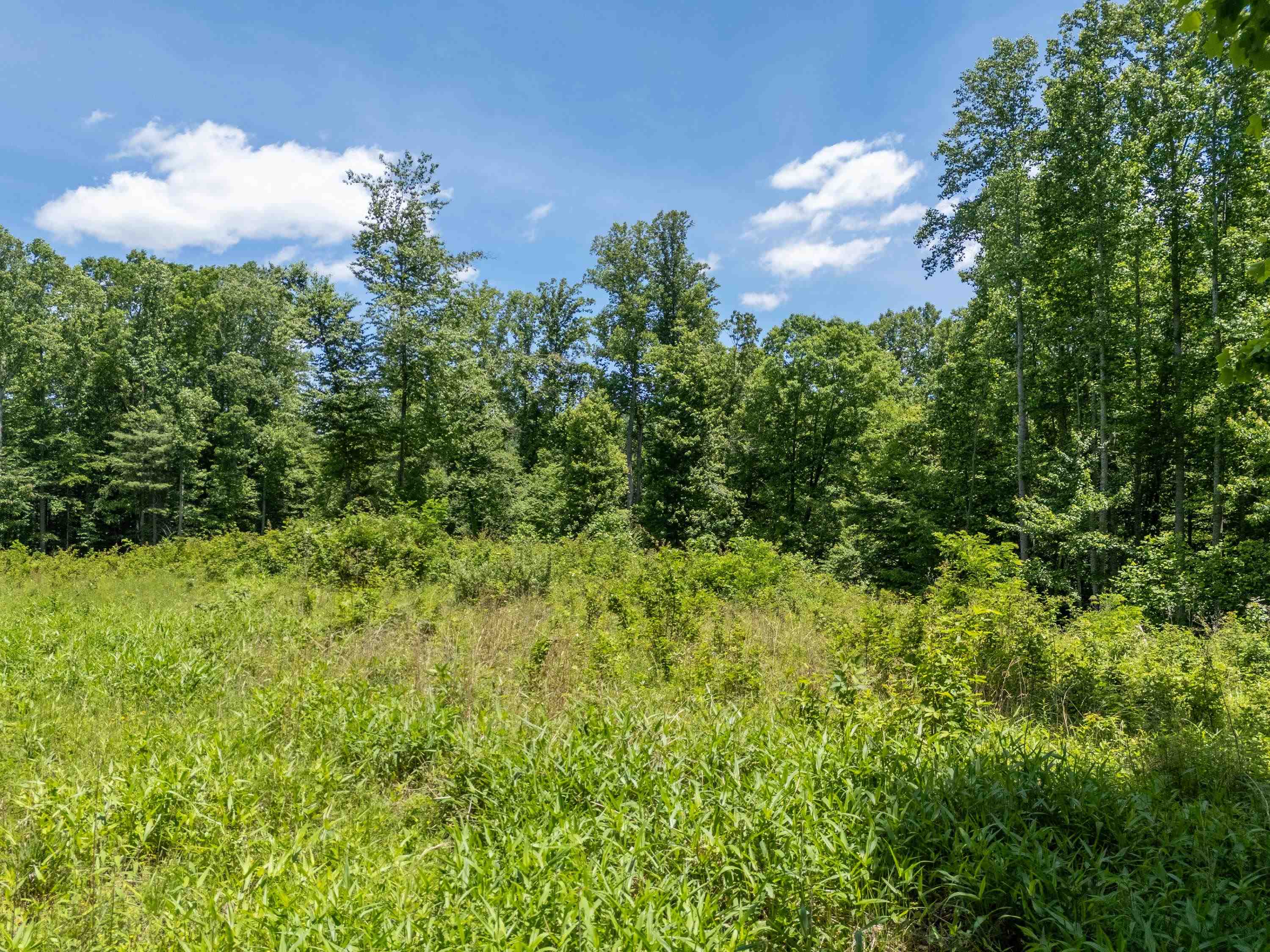 2307 Rush Fork Road SW Floyd VA 24091