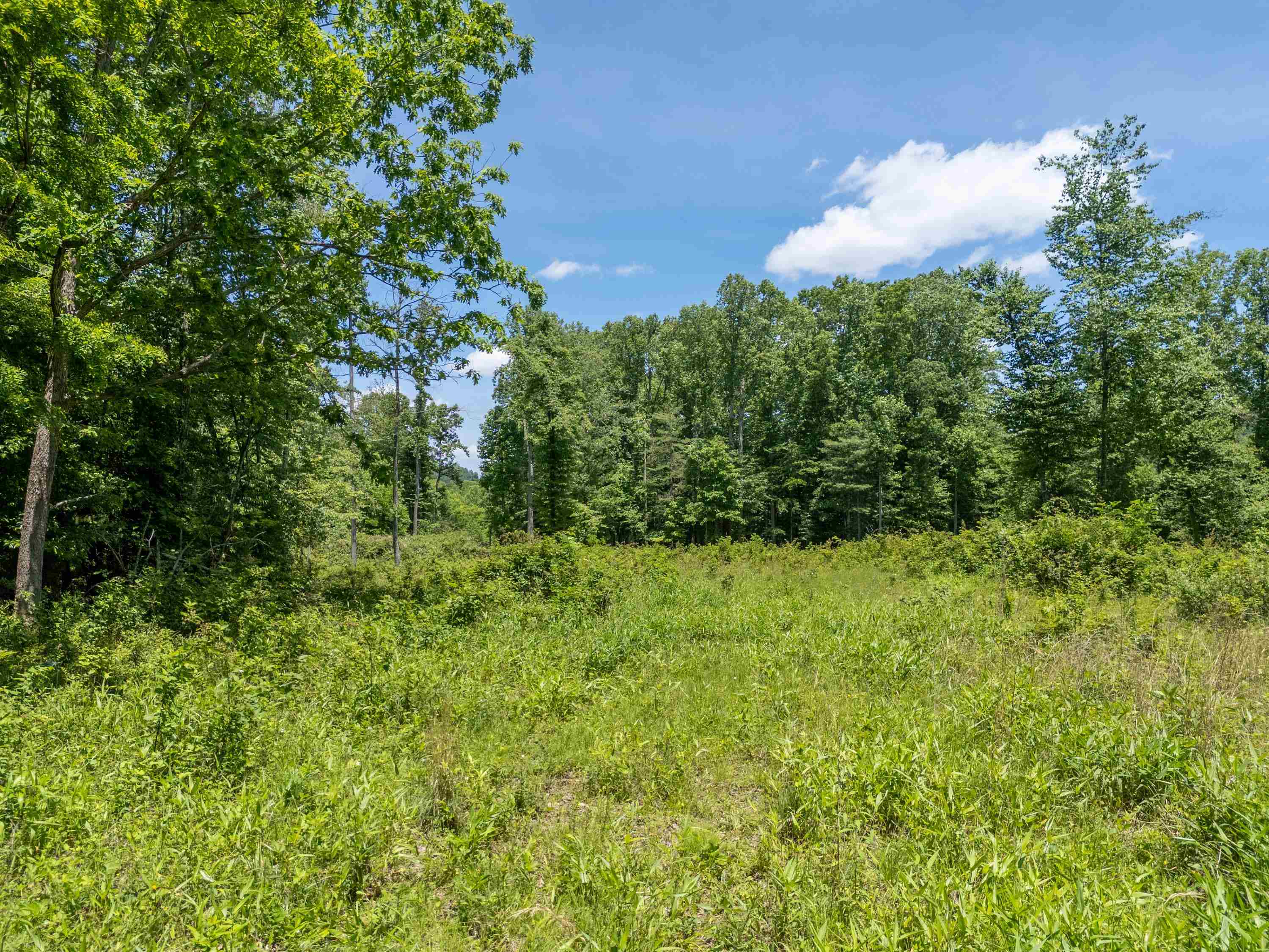 2307 Rush Fork Road SW Floyd VA 24091