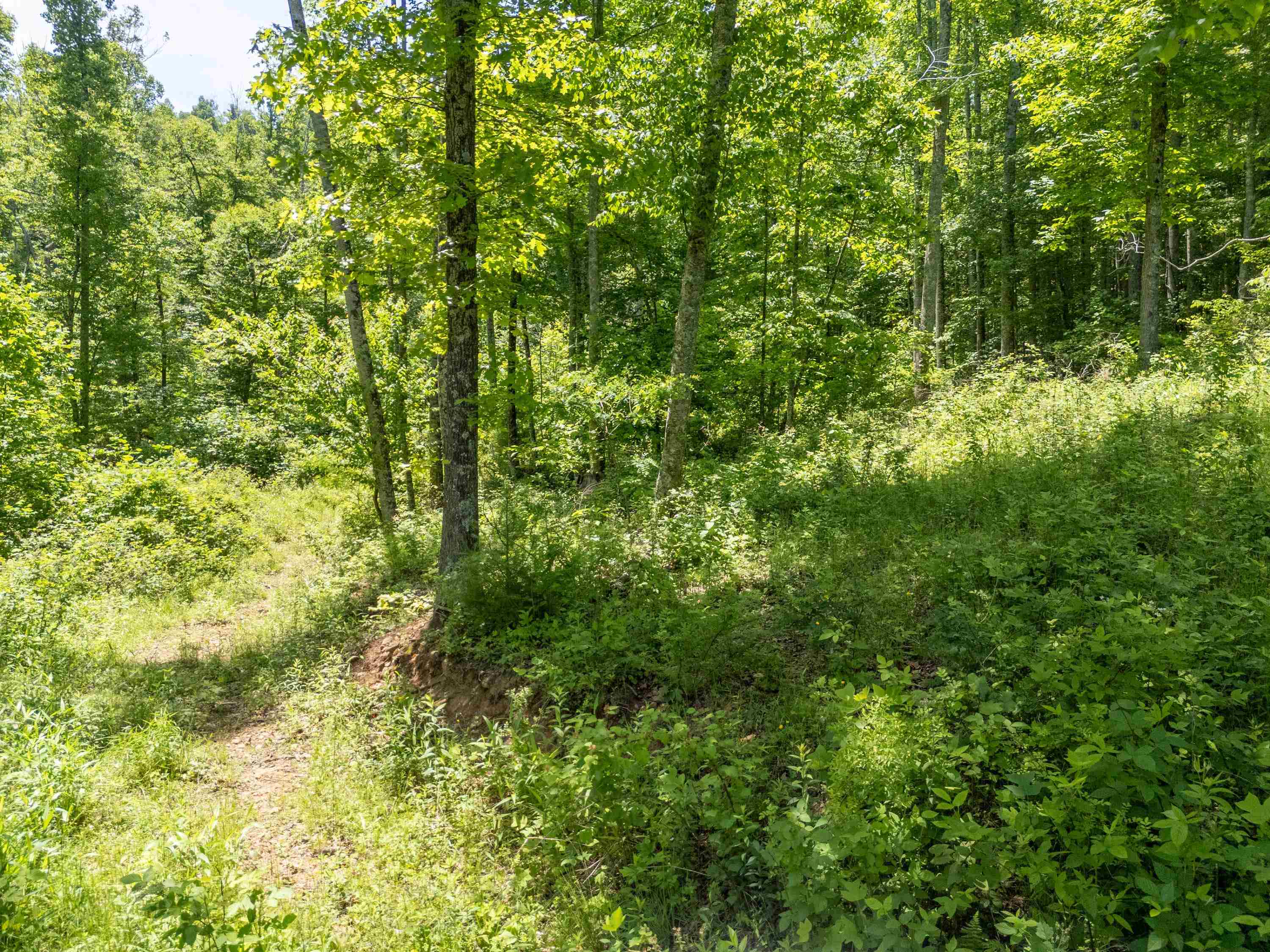 2307 Rush Fork Road SW Floyd VA 24091