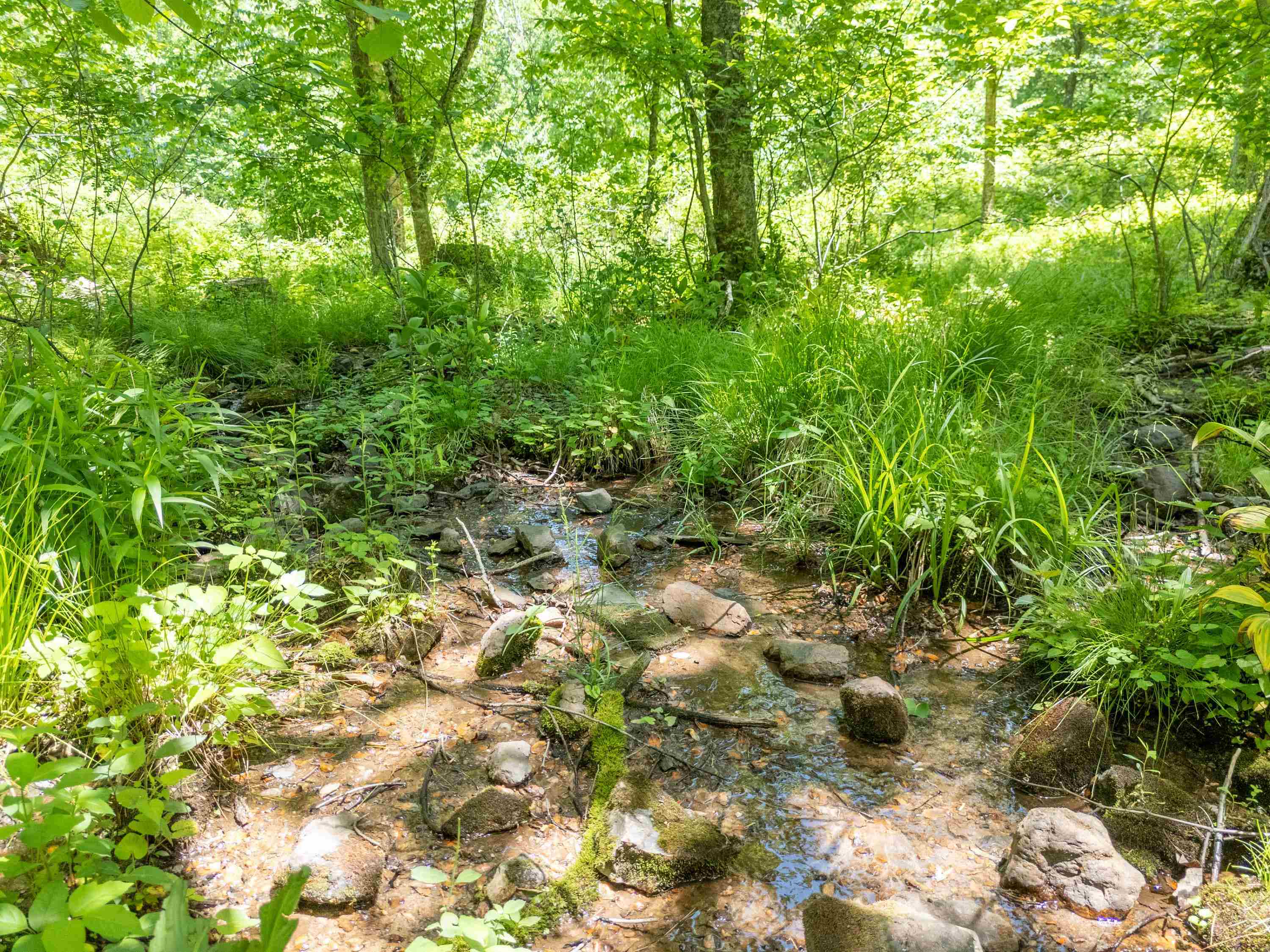 2307 Rush Fork Road SW Floyd VA 24091