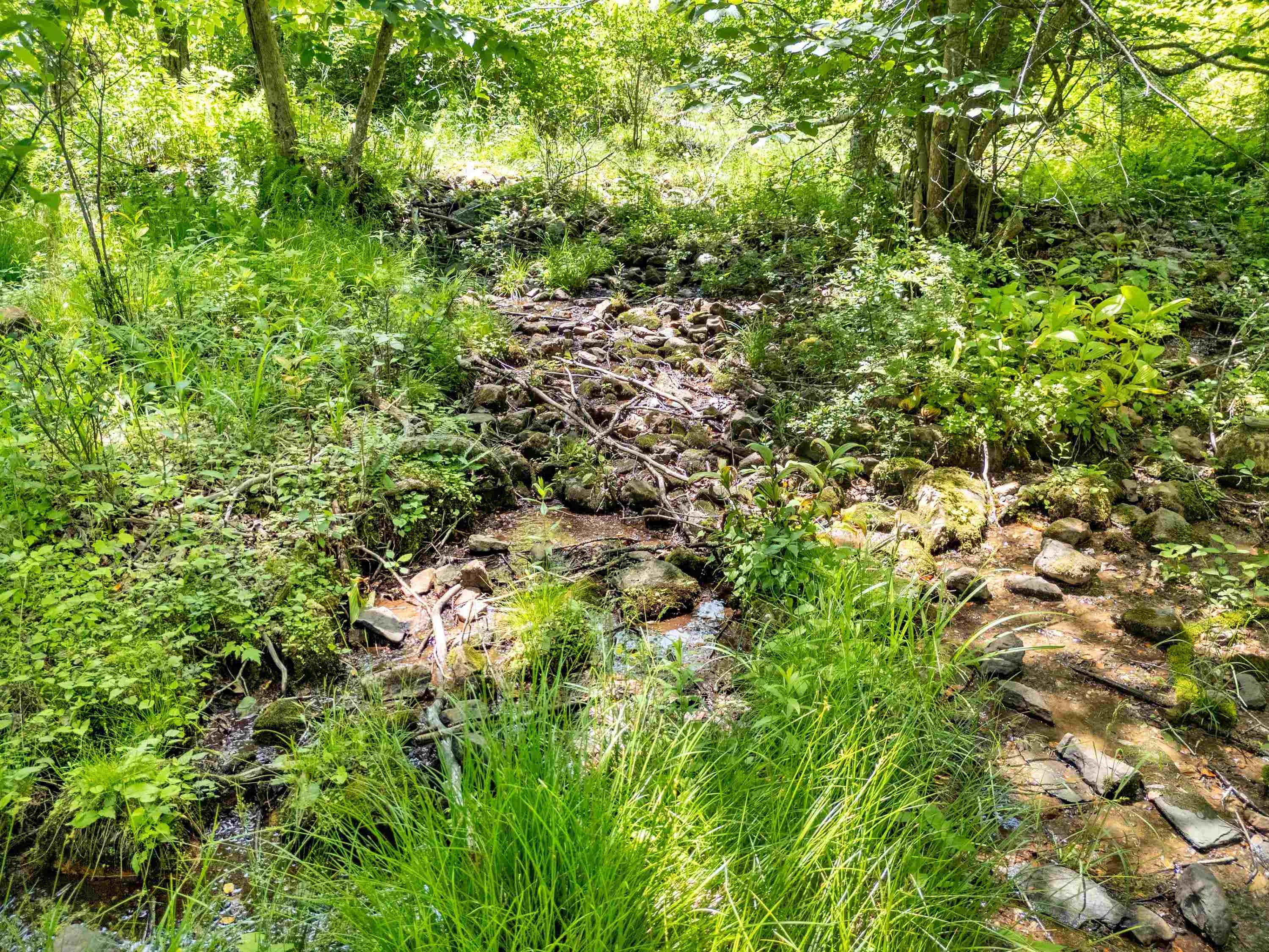 2307 Rush Fork Road SW Floyd VA 24091
