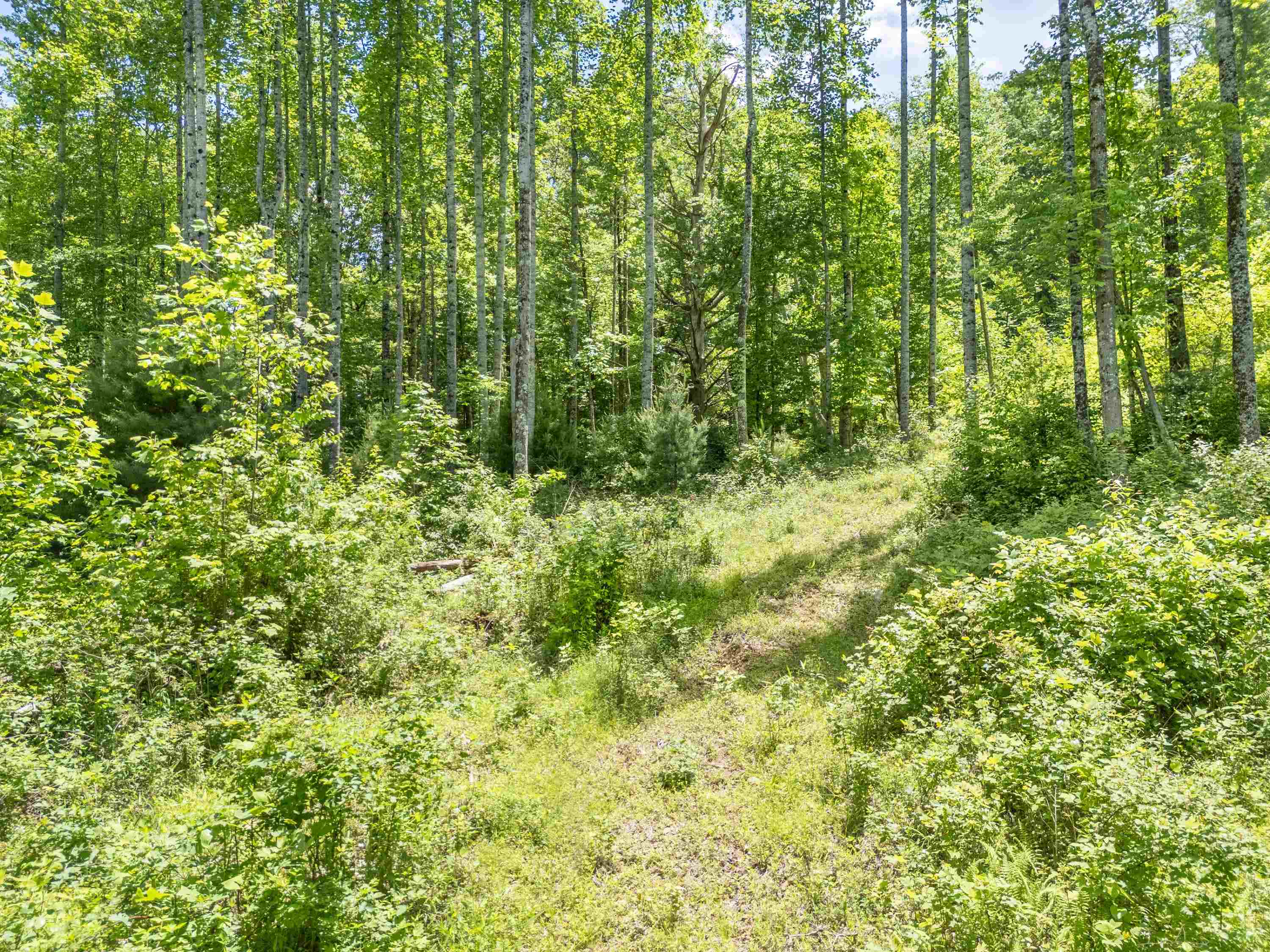 2307 Rush Fork Road SW Floyd VA 24091