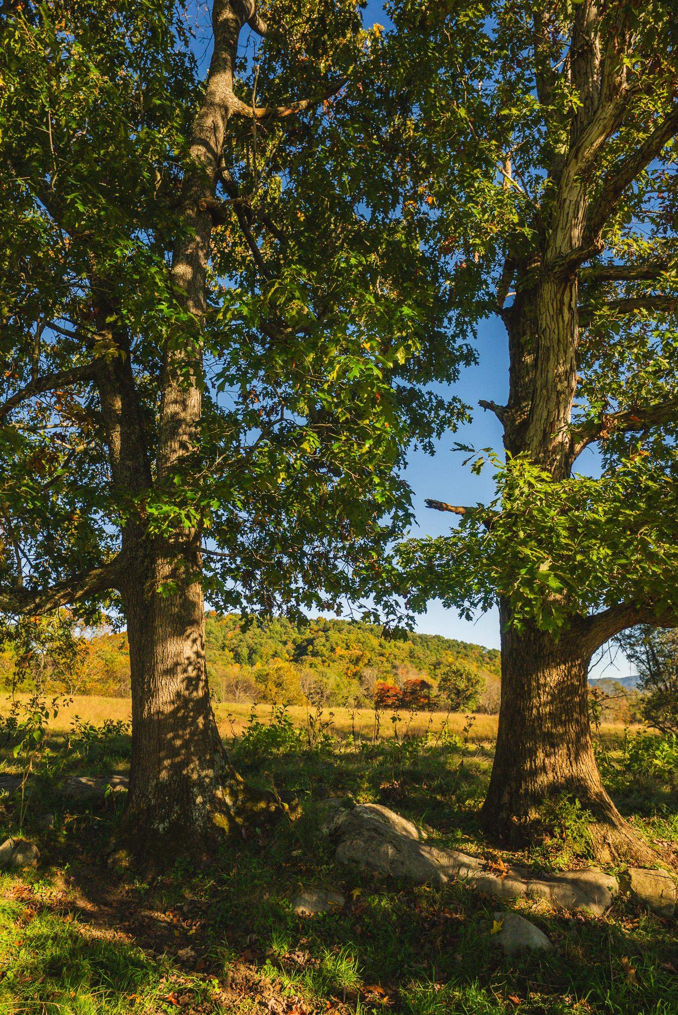Lot 2 Watauga Road Abingdon VA 24211