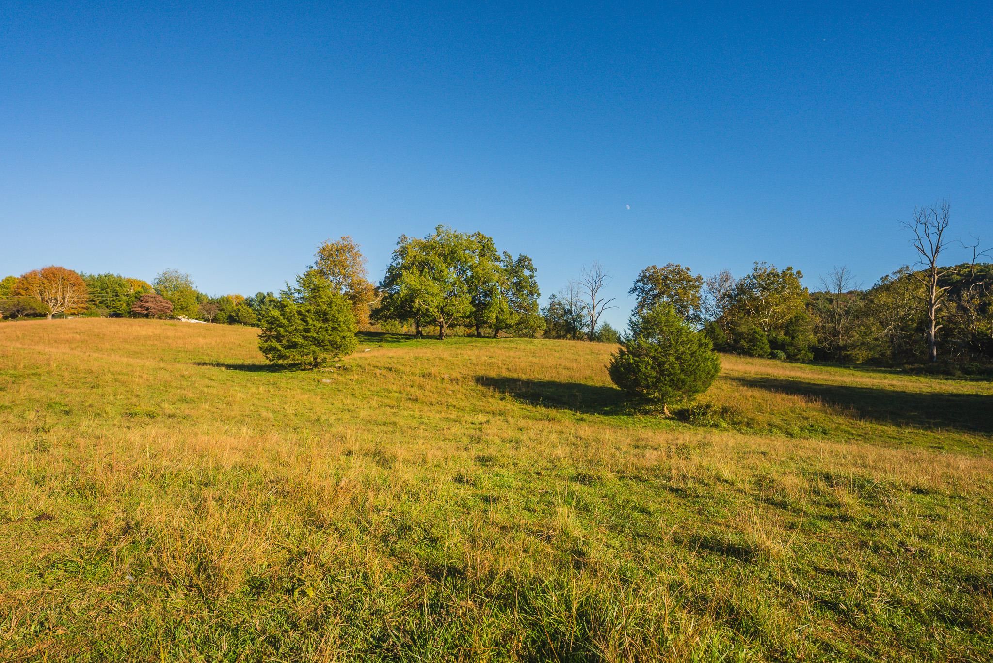 Lot 2 Watauga Road Abingdon VA 24211