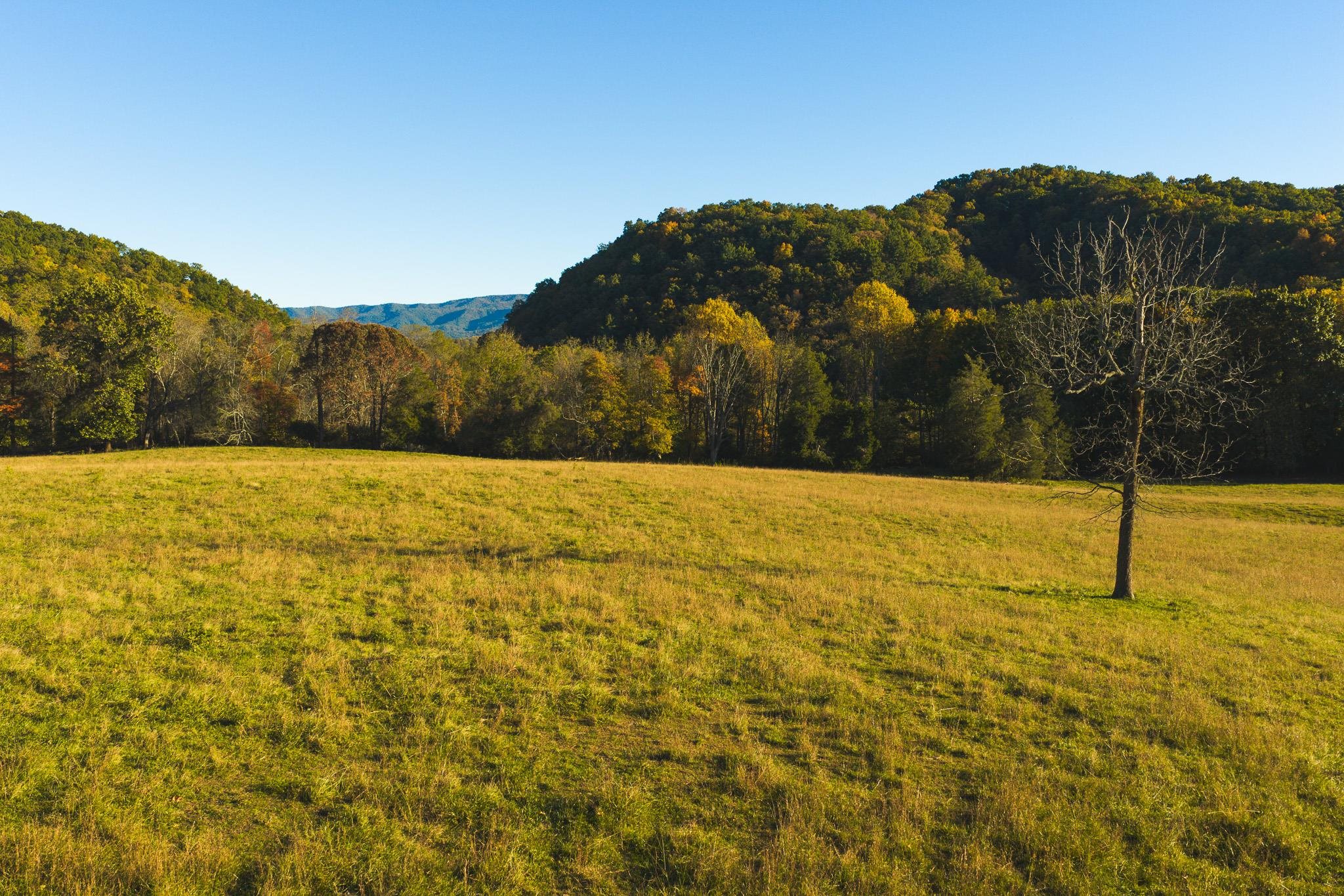 Lot 2 Watauga Road Abingdon VA 24211