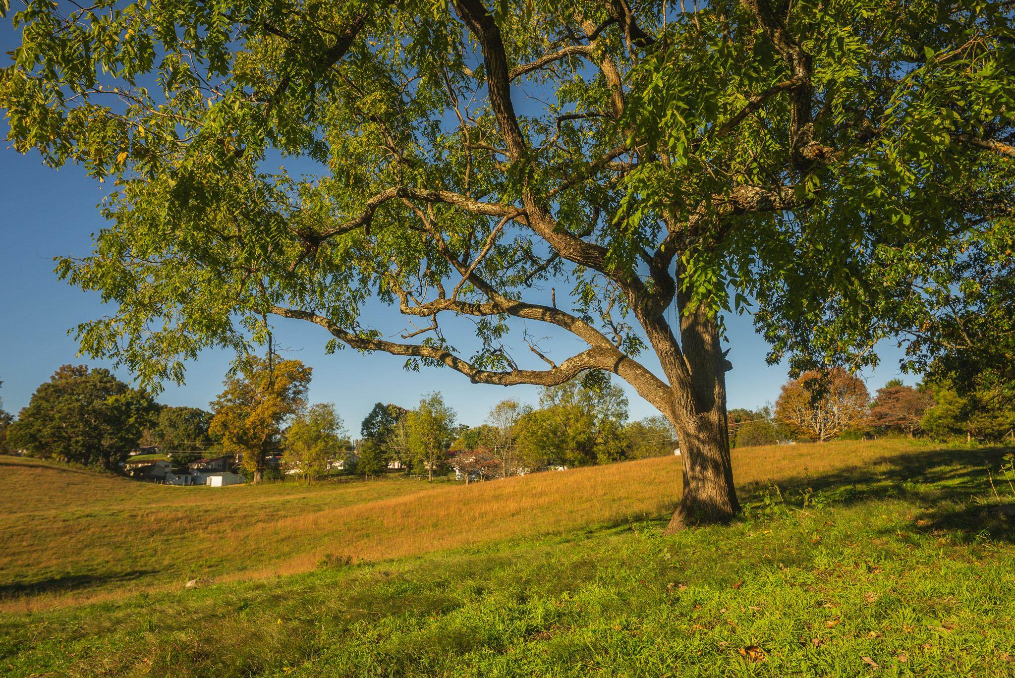 Lot 2 Watauga Road Abingdon VA 24211