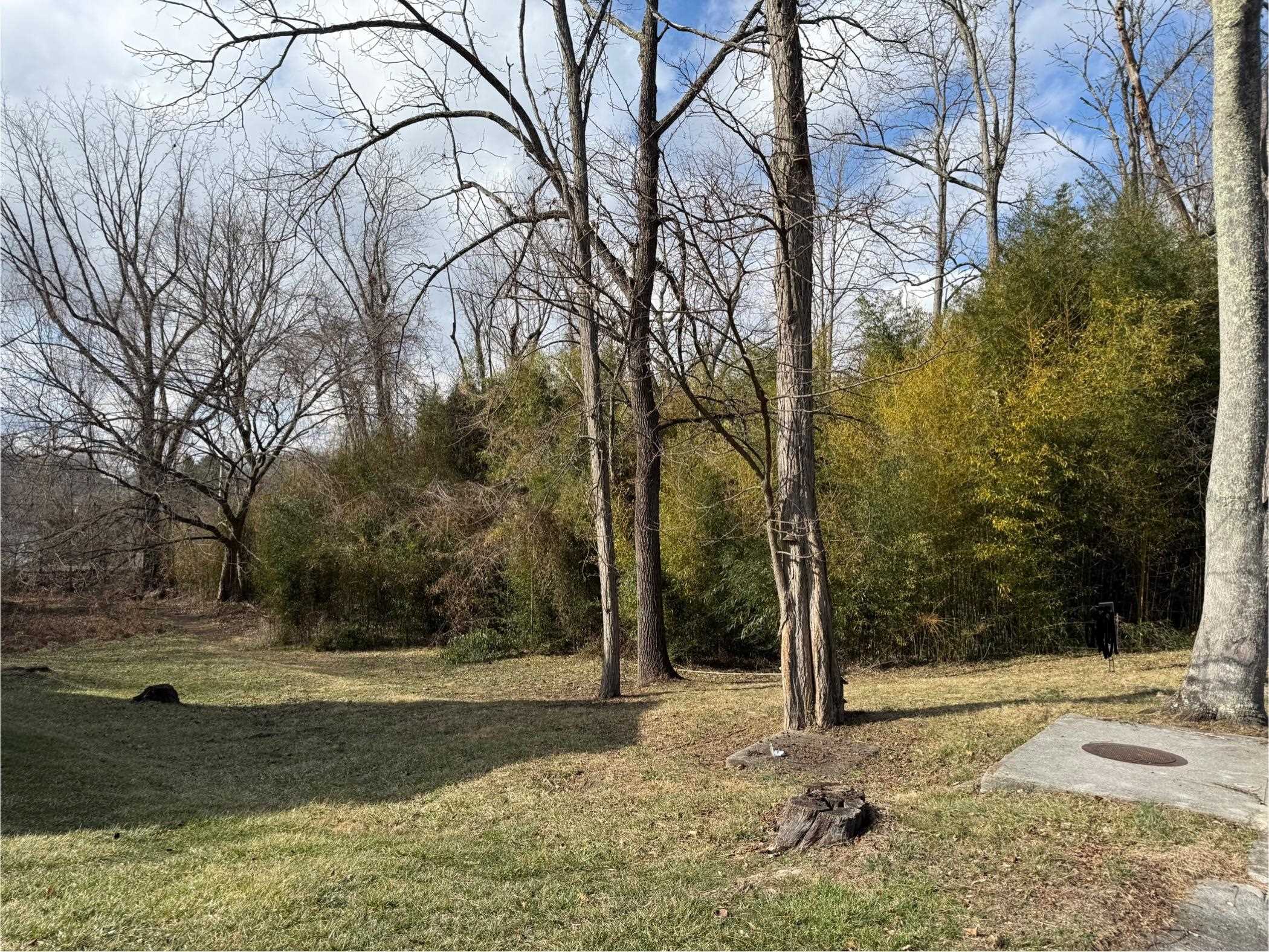 Tbd Corner Eakin SW & Gracelyn Street Blacksburg VA 24060