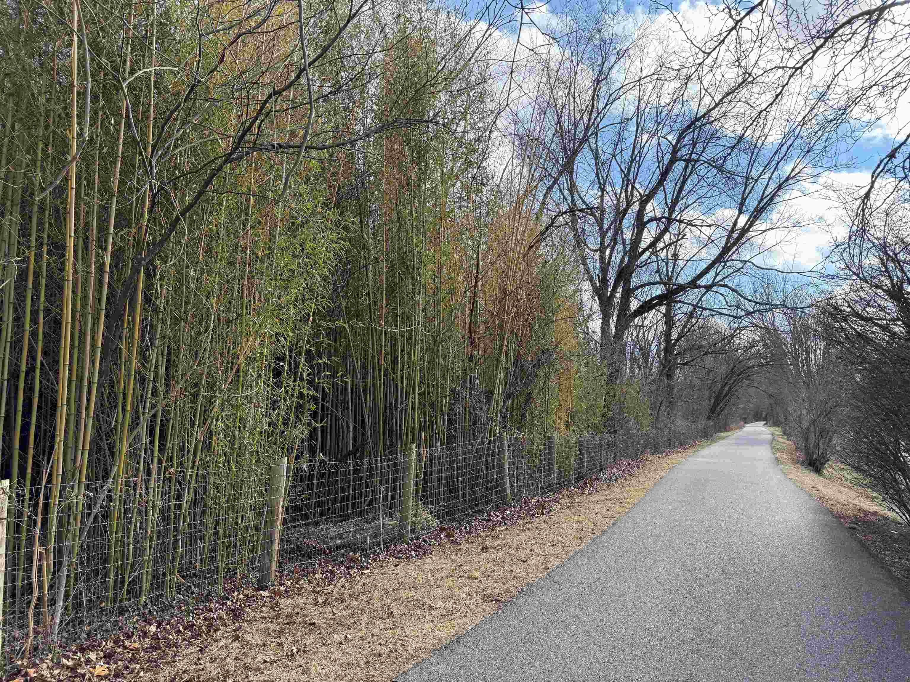 Tbd Corner Eakin SW & Gracelyn Street Blacksburg VA 24060