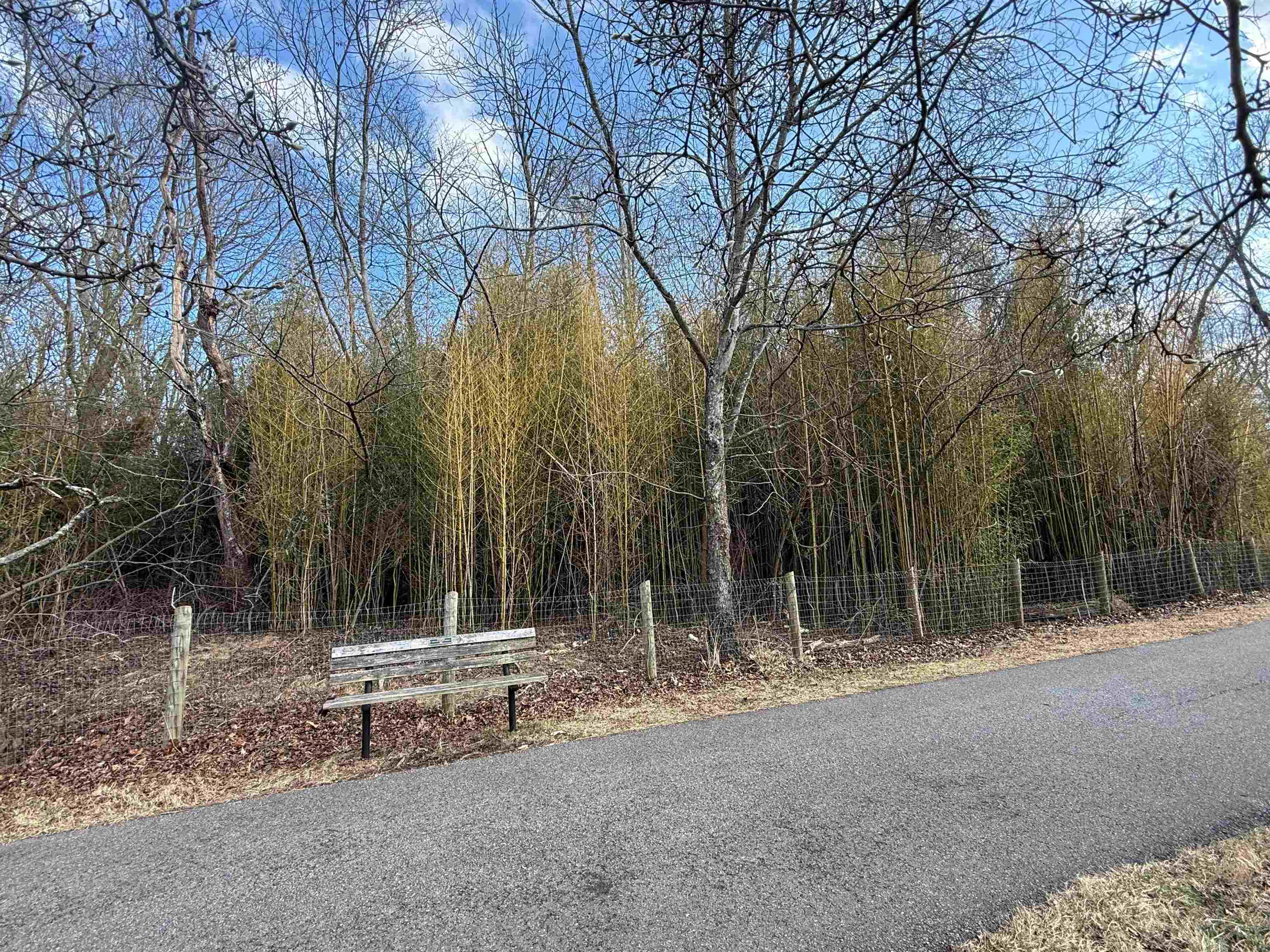 Tbd Corner Eakin SW & Gracelyn Street Blacksburg VA 24060