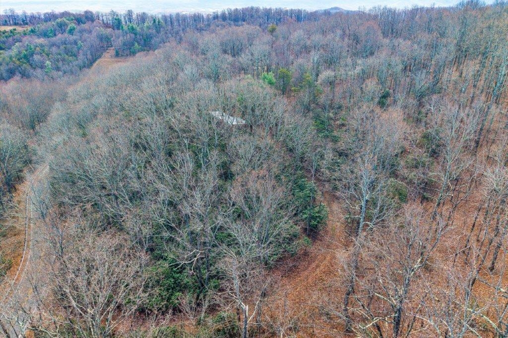 15885 Woolvine Highway Floyd VA 24091