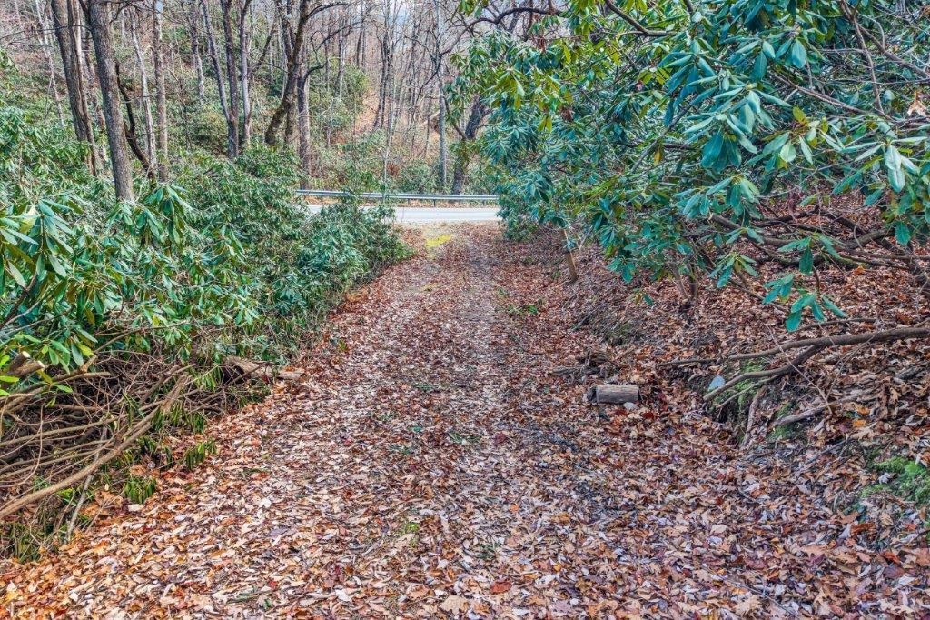 15885 Woolvine Highway Floyd VA 24091