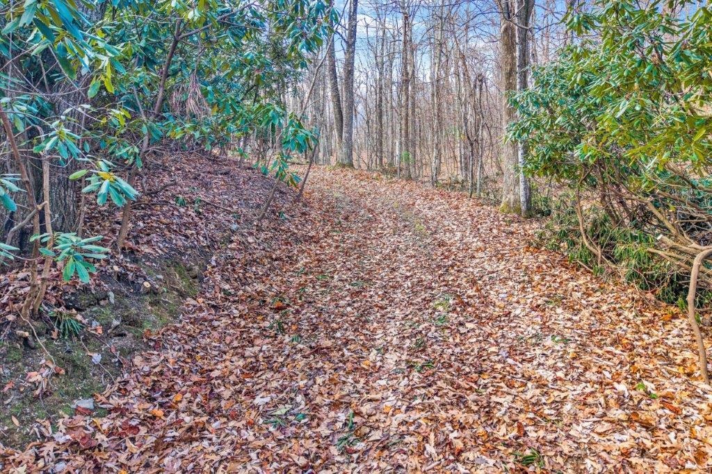 15885 Woolvine Highway Floyd VA 24091