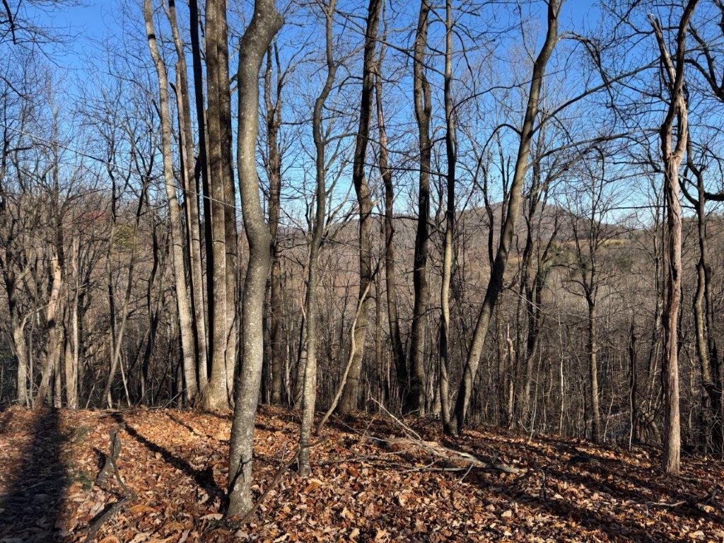 15885 Woolvine Highway Floyd VA 24091