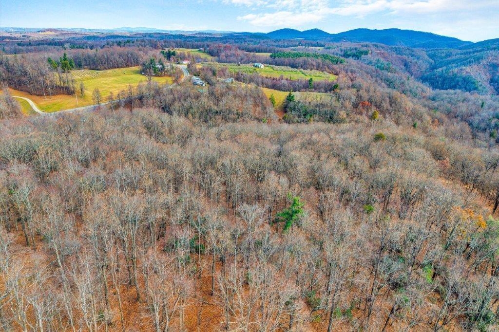 15885 Woolvine Highway Floyd VA 24091