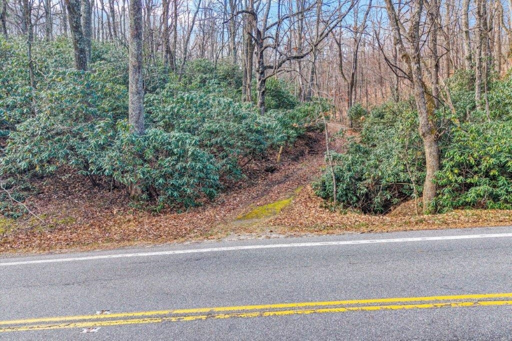 15885 Woolvine Highway Floyd VA 24091