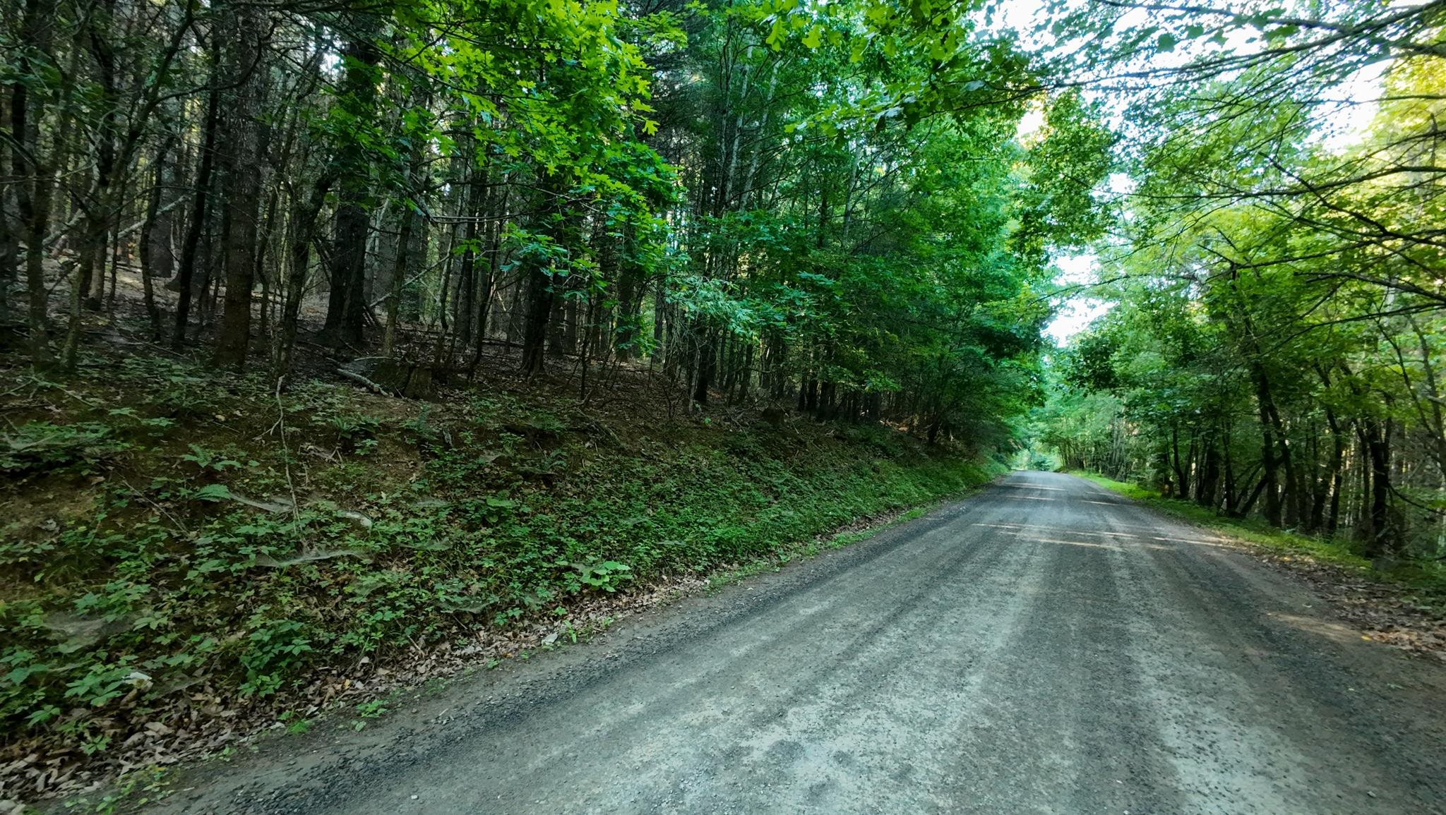 Tract 1 Merifield Road Willis VA 24380