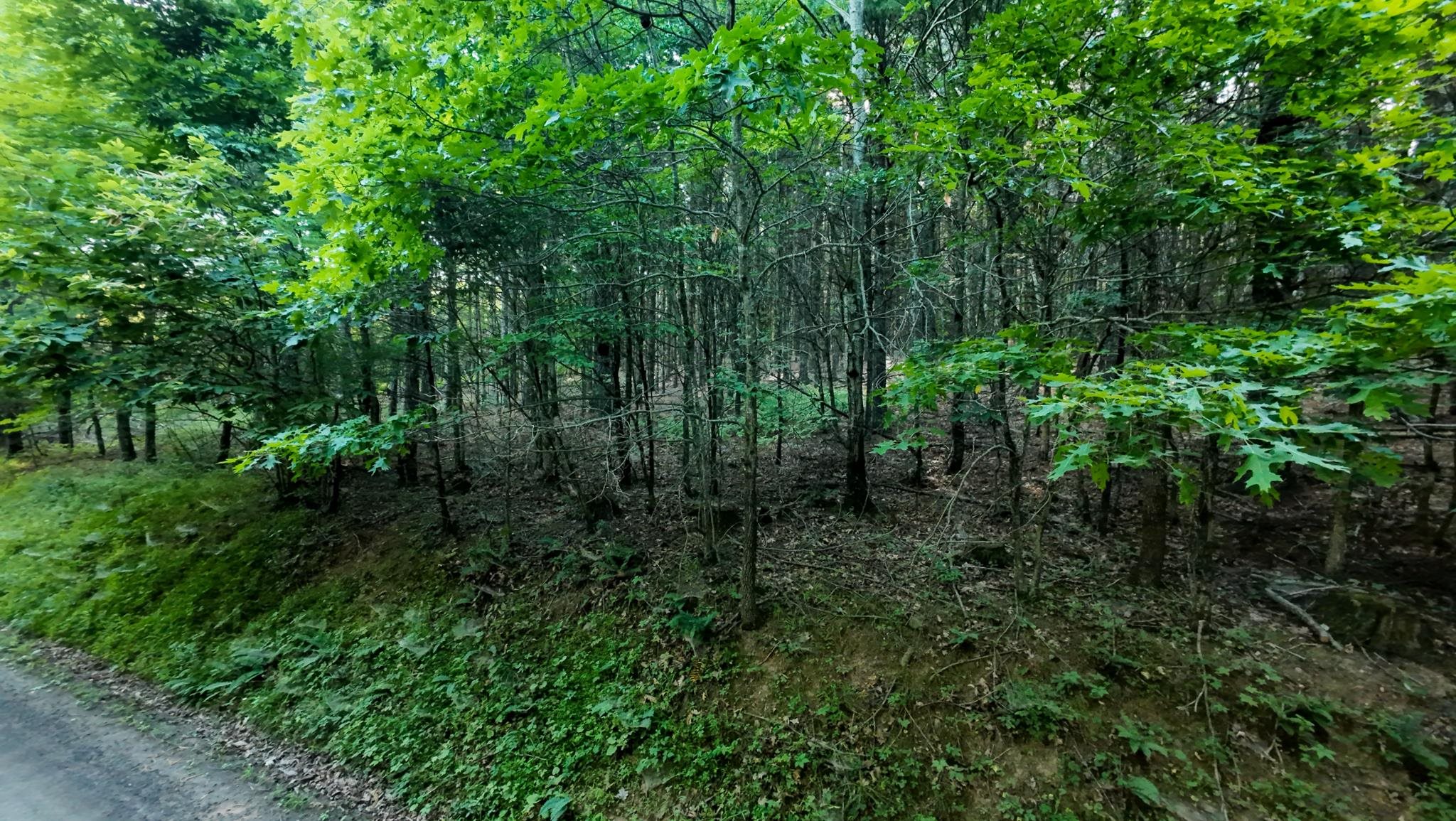 Tract 1 Merifield Road Willis VA 24380