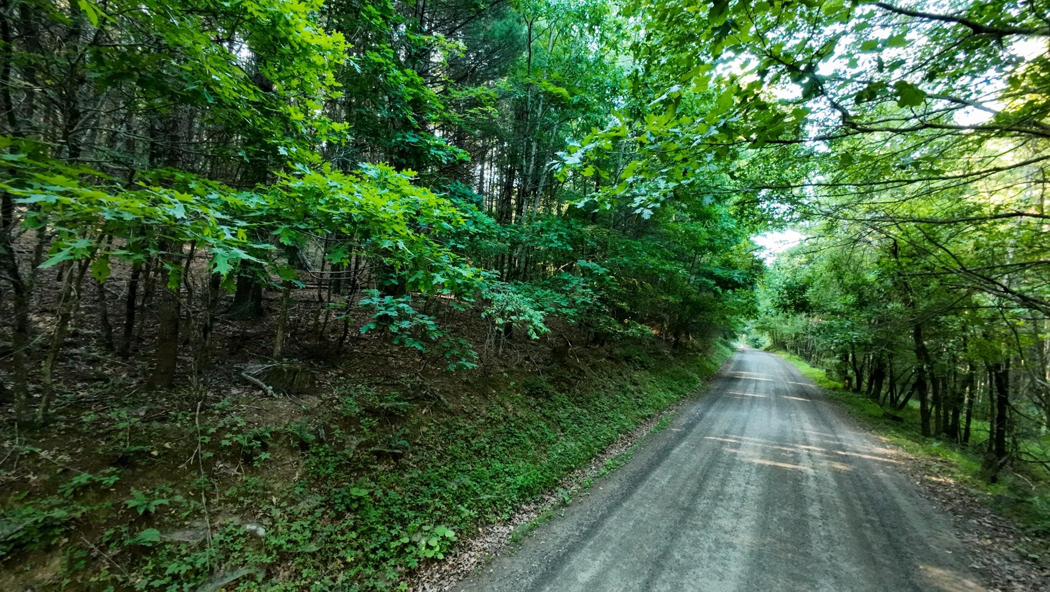 Tract 1 Merifield Road Willis VA 24380
