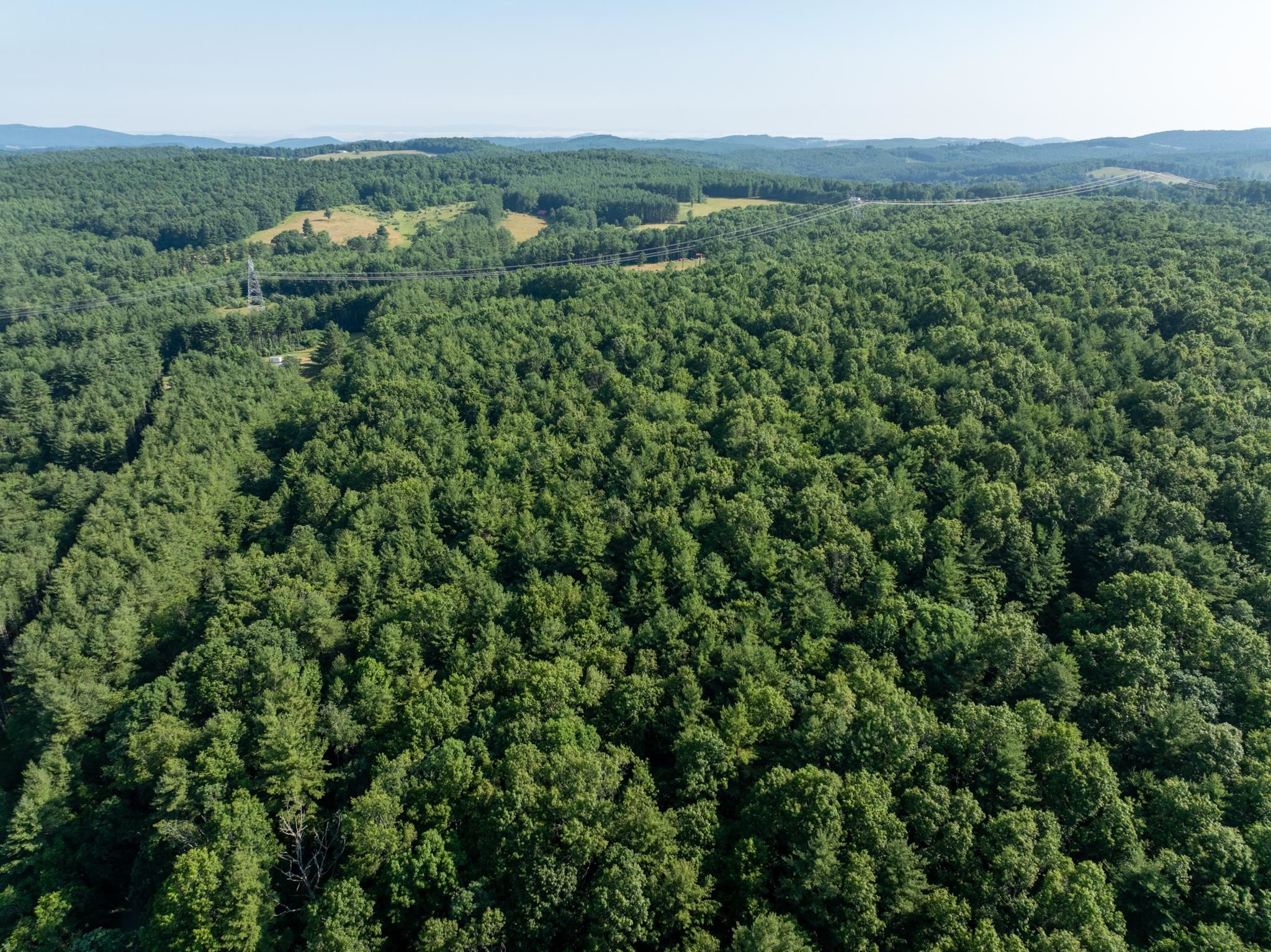 Tract 1 Merifield Road Willis VA 24380