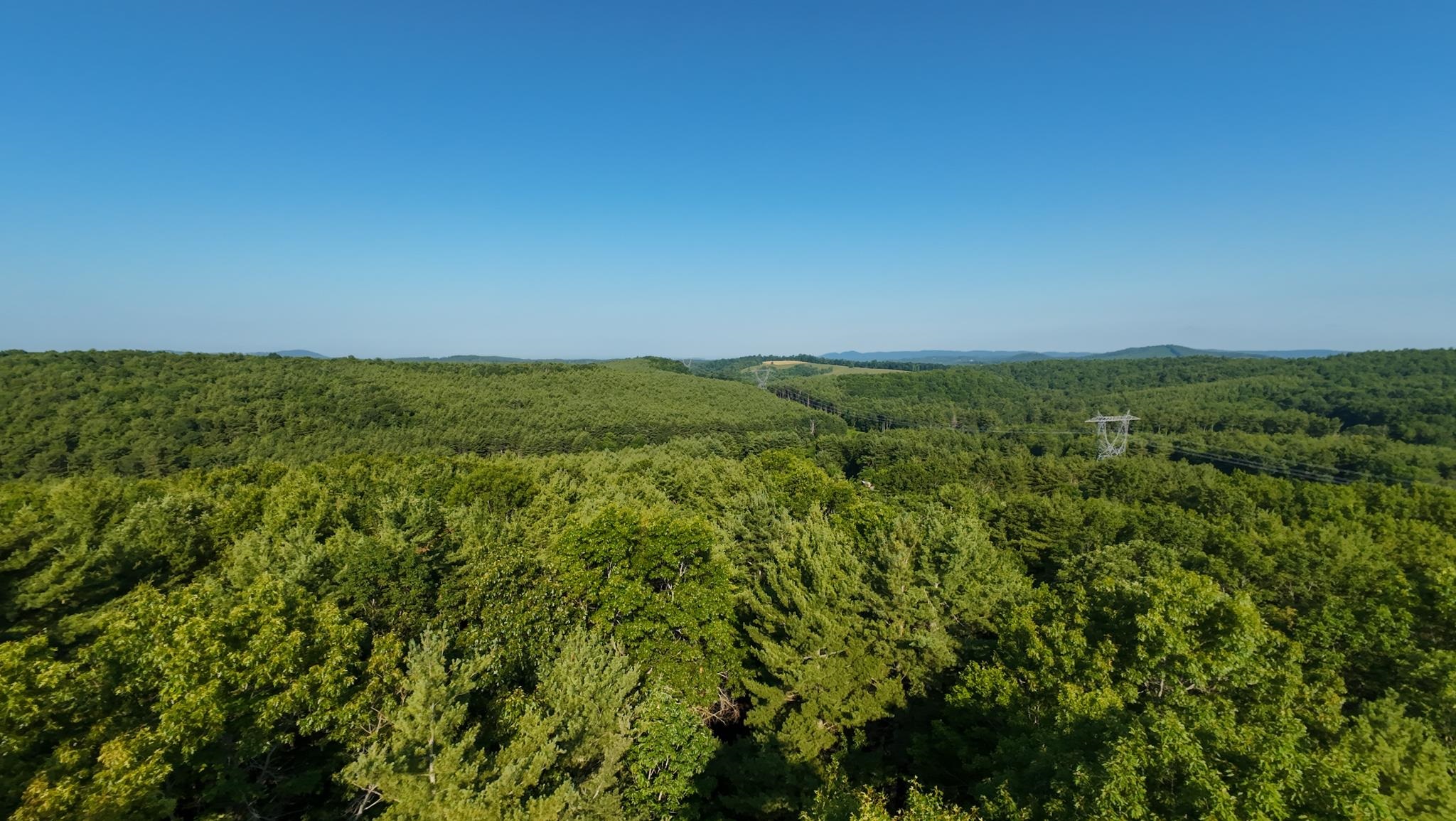 Tract 1 Merifield Road Willis VA 24380
