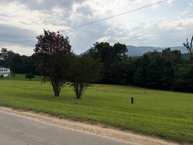 168 Porter Street Narrows VA 24124