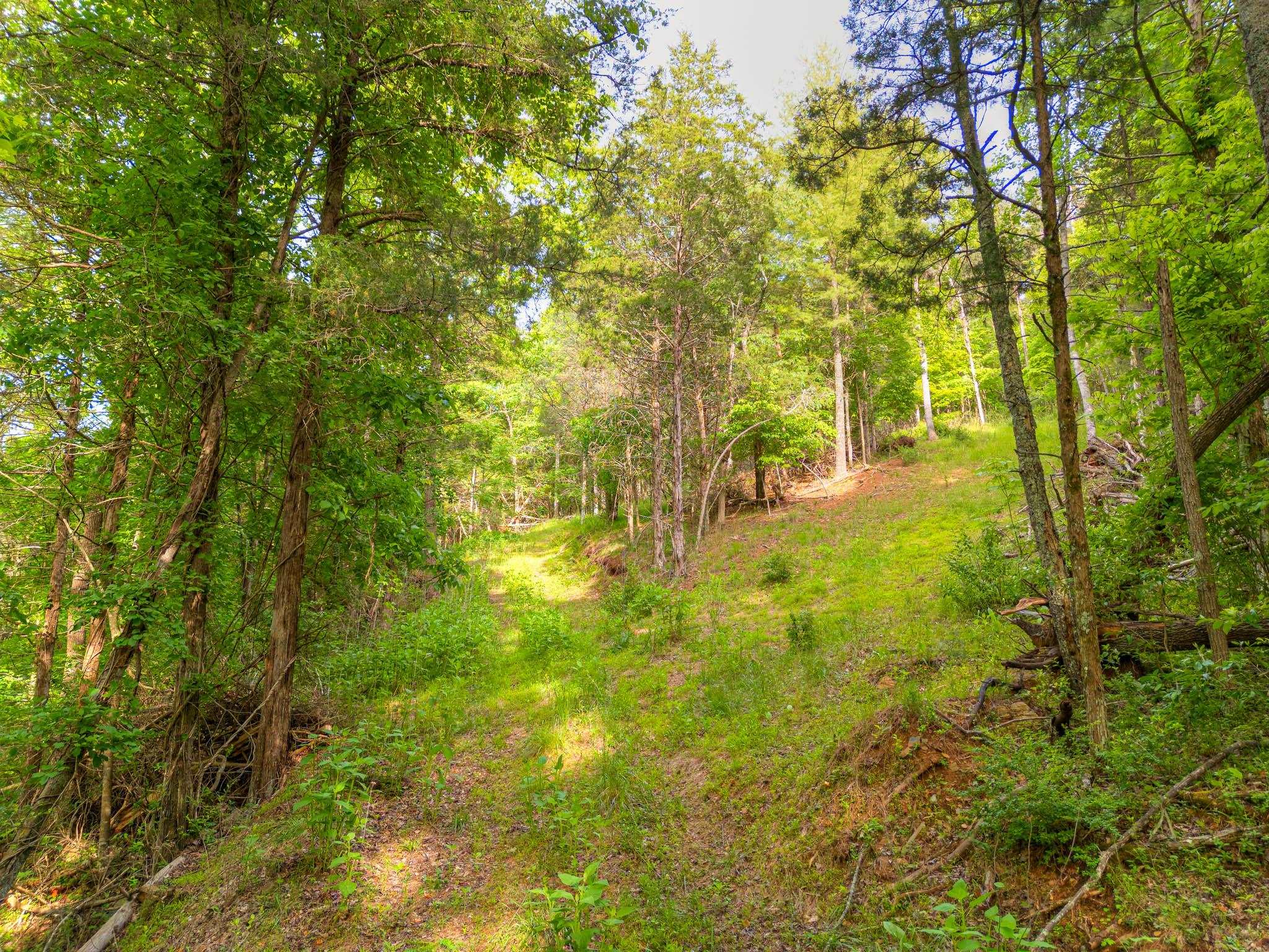 547 Smith Creek Road Christiansburg VA 24073