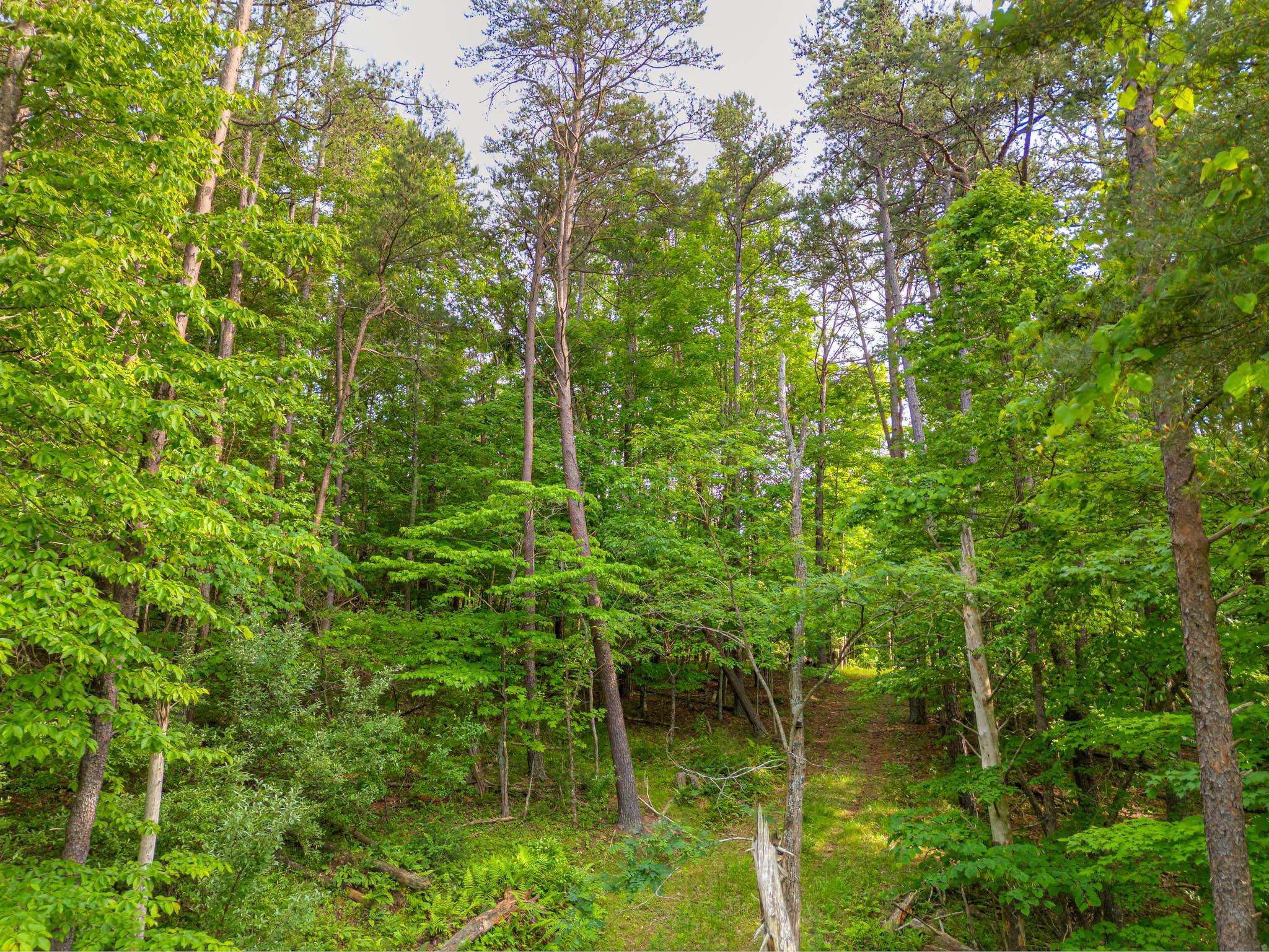 547 Smith Creek Road Christiansburg VA 24073