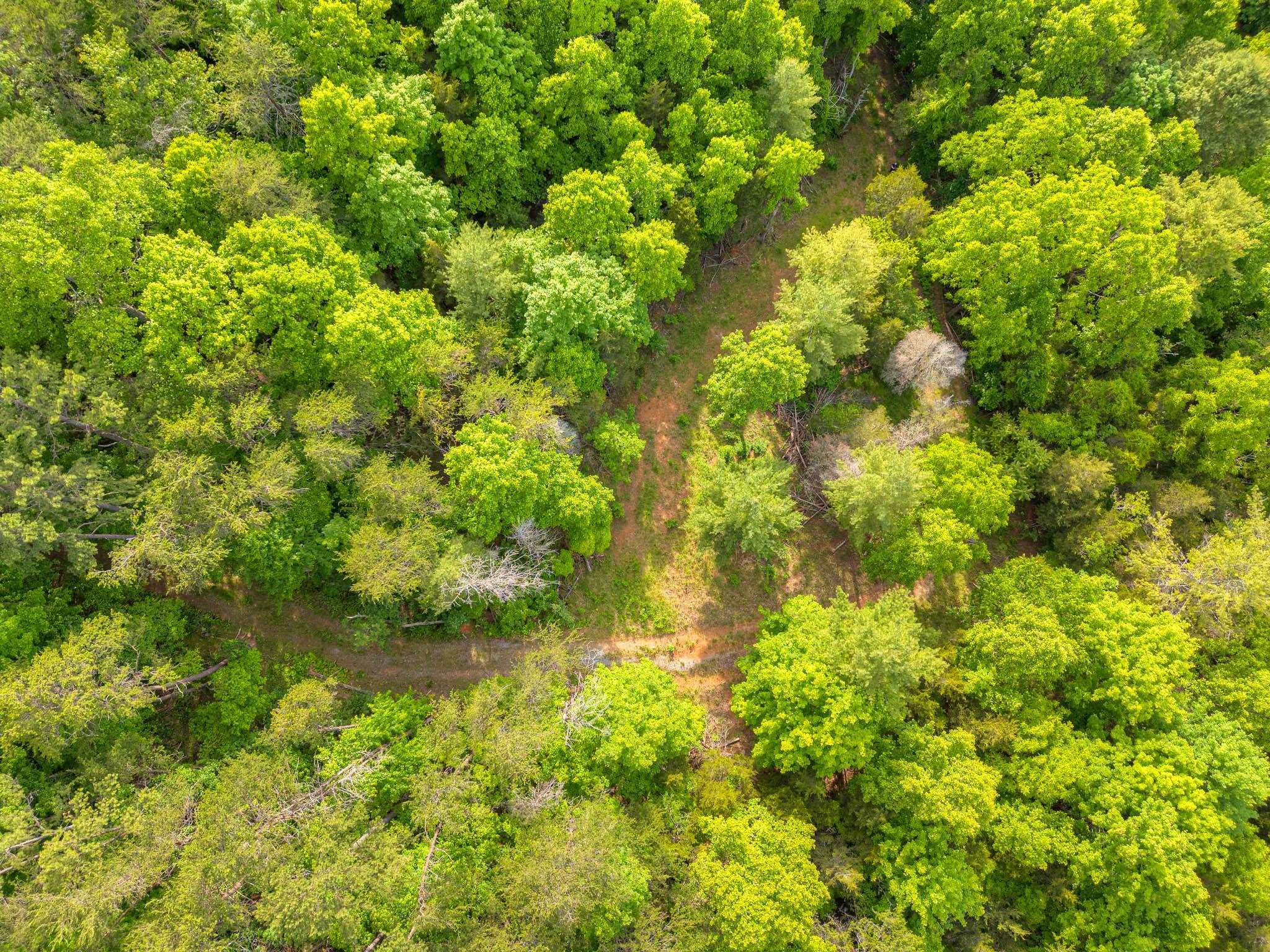 547 Smith Creek Road Christiansburg VA 24073