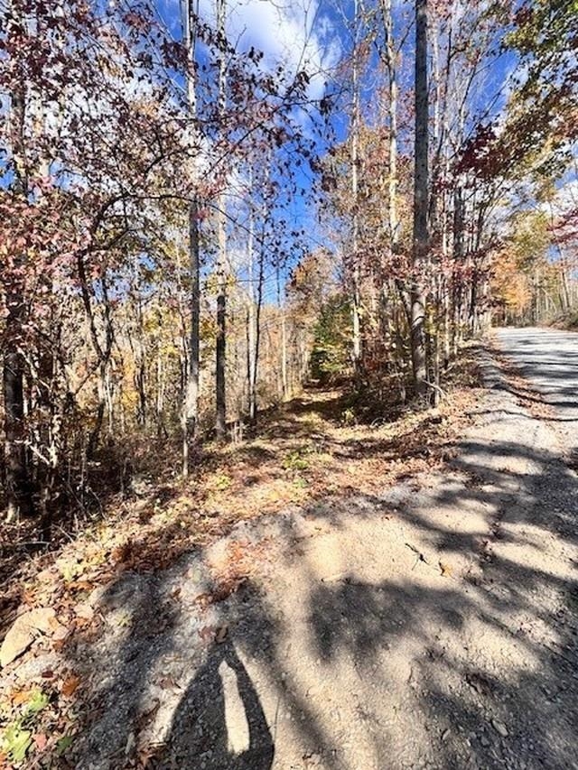 0 Hendrickson Drive Pembroke VA 24136