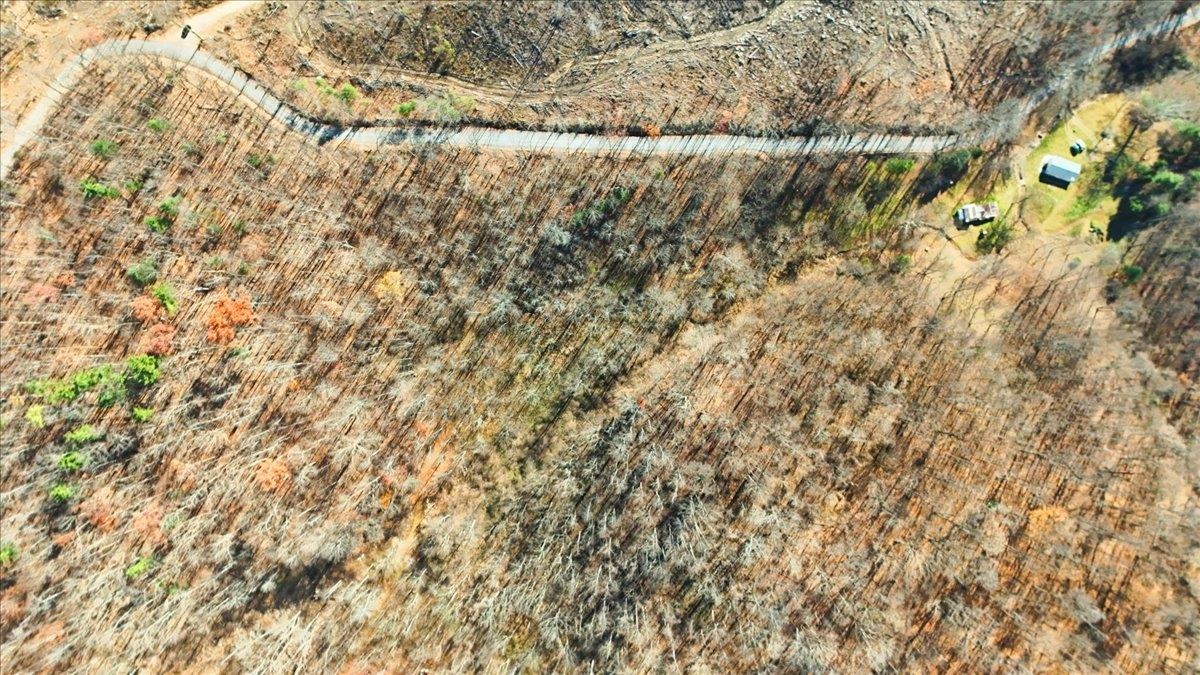 0 Hendrickson Drive Pembroke VA 24136