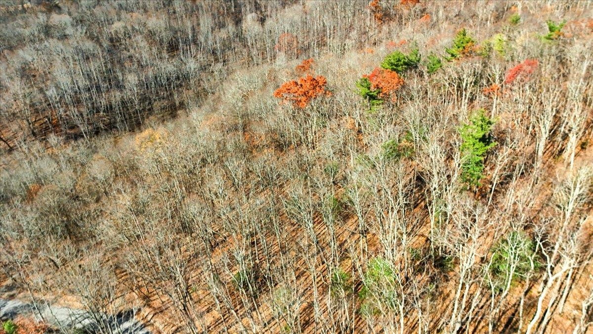 0 Hendrickson Drive Pembroke VA 24136