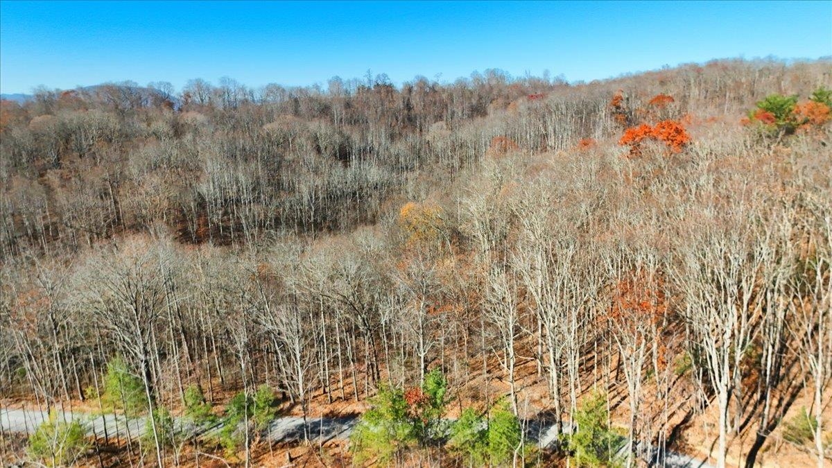 0 Hendrickson Drive Pembroke VA 24136