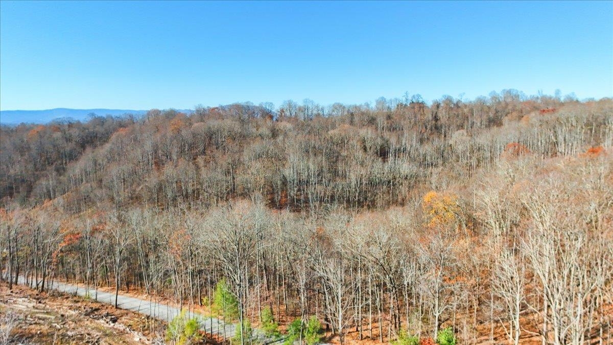 0 Hendrickson Drive Pembroke VA 24136