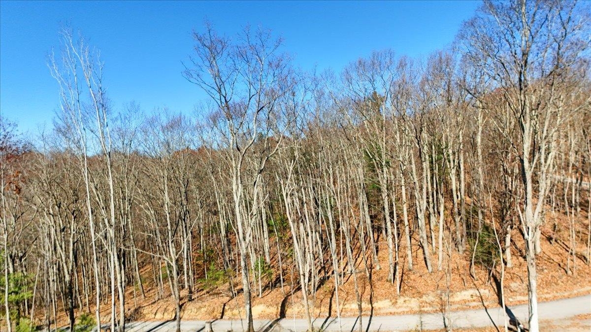 0 Hendrickson Drive Pembroke VA 24136