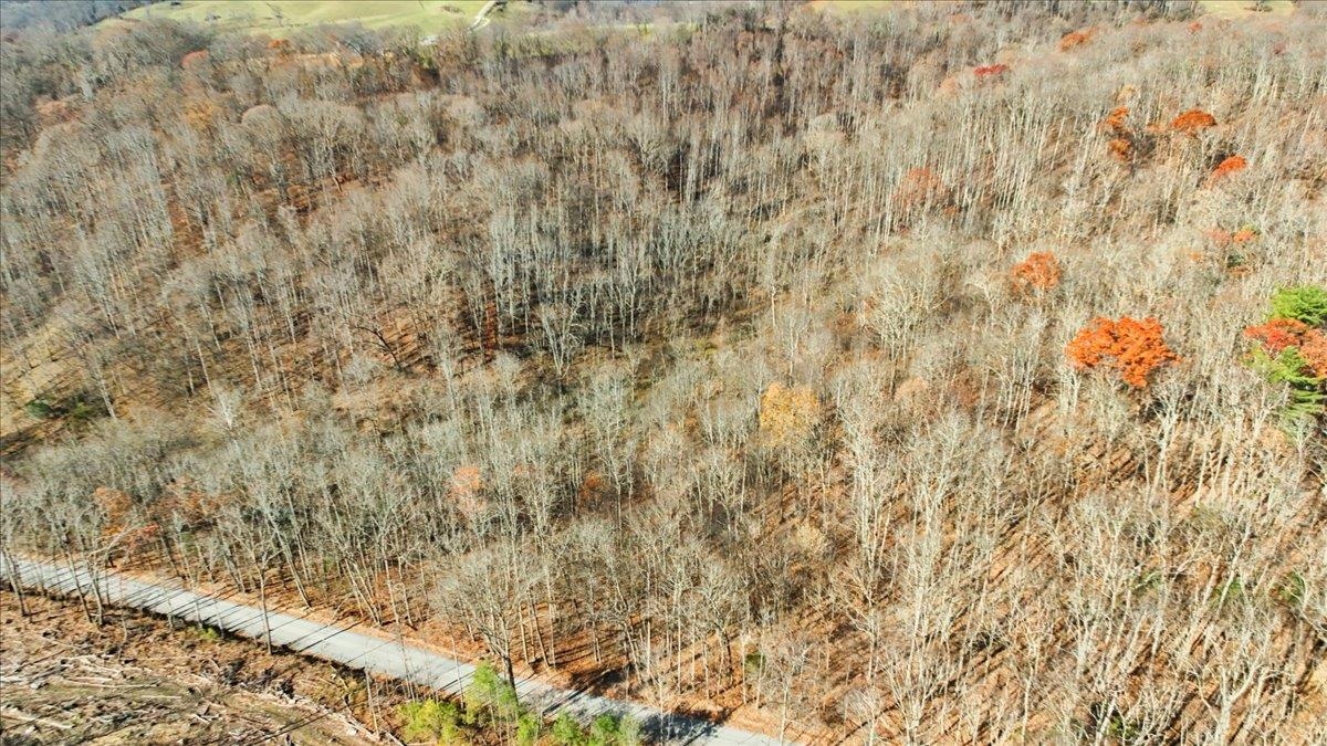 0 Hendrickson Drive Pembroke VA 24136