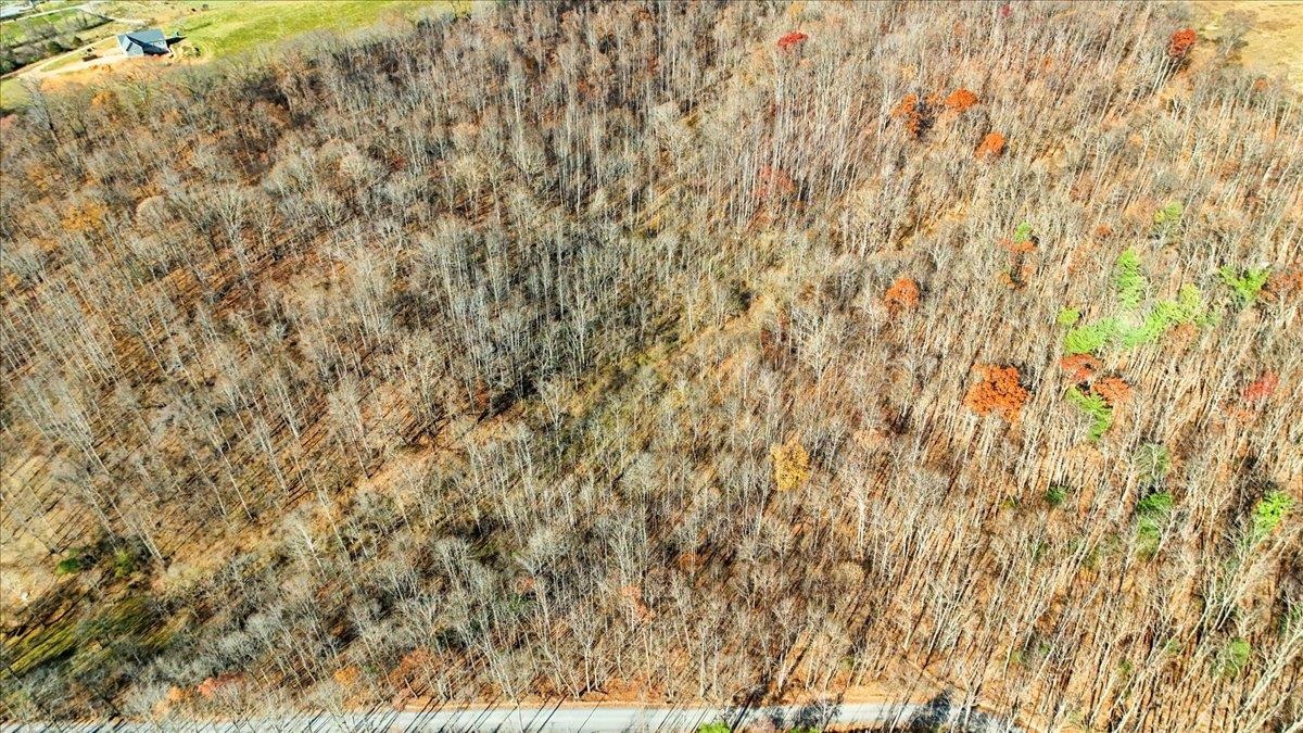 0 Hendrickson Drive Pembroke VA 24136