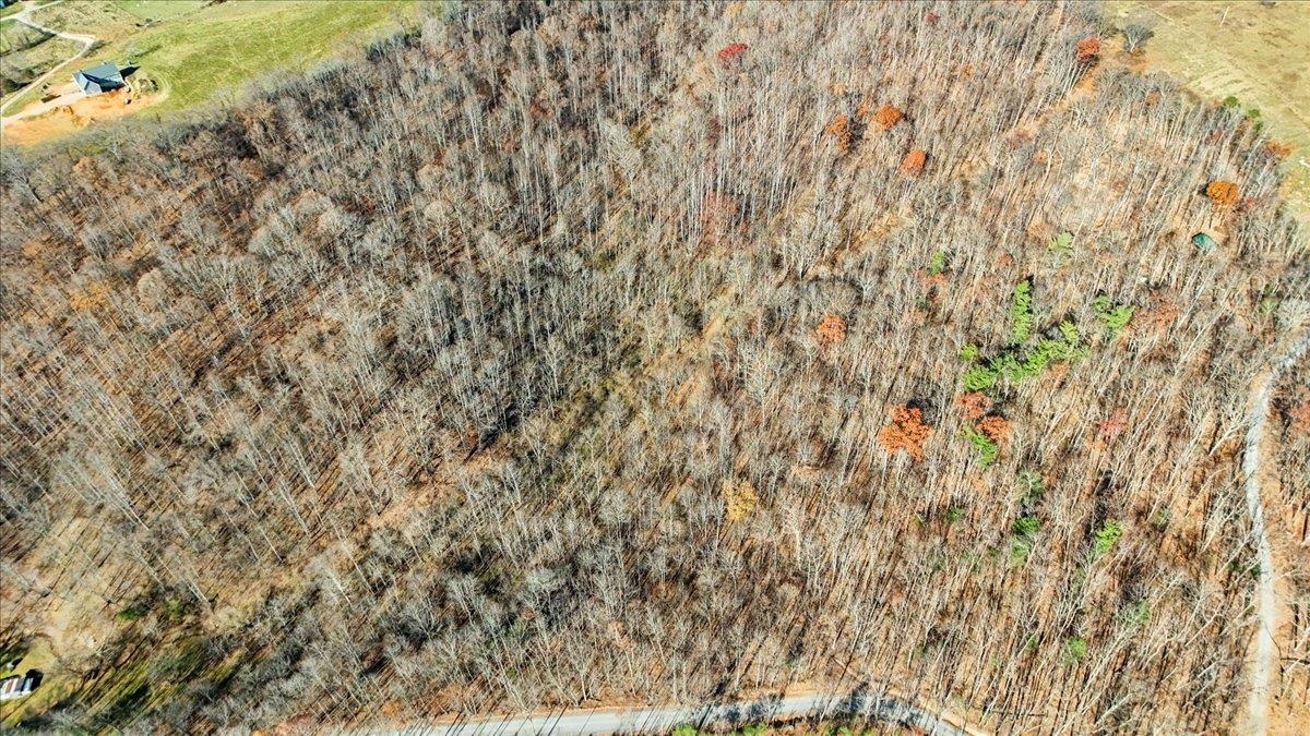 0 Hendrickson Drive Pembroke VA 24136